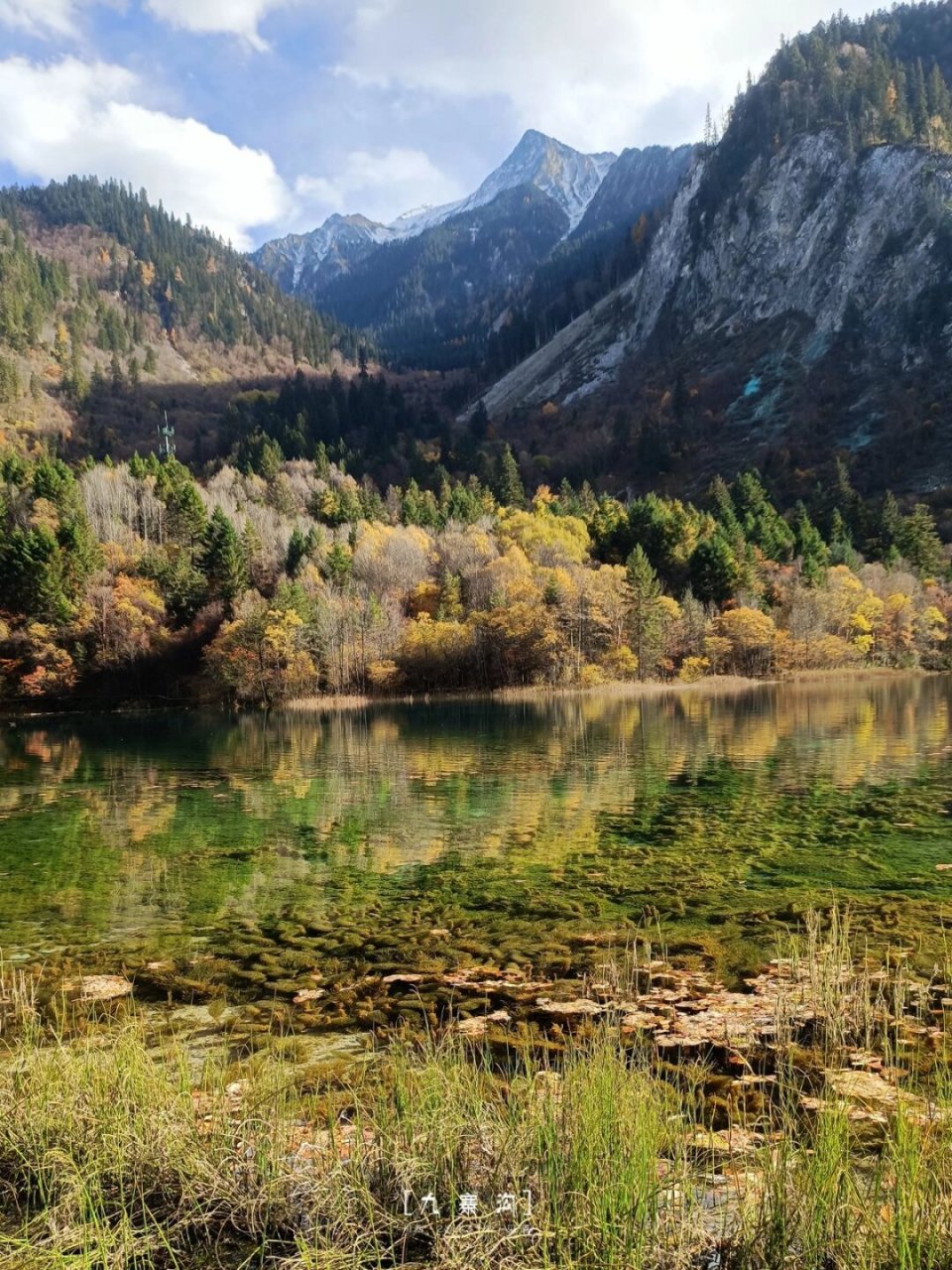 1,九寨沟景区有则查洼沟,日则沟,树正沟三条沟呈y字型,按其方位可分为