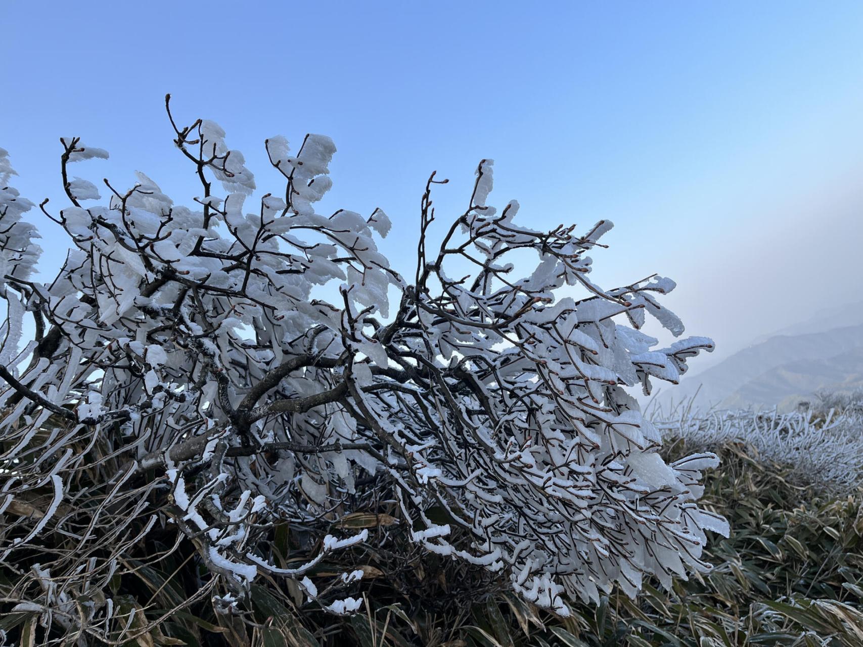 云冰山旅游景区位于湖南省永州市蓝山县西峰岭和广东省清远市连州市