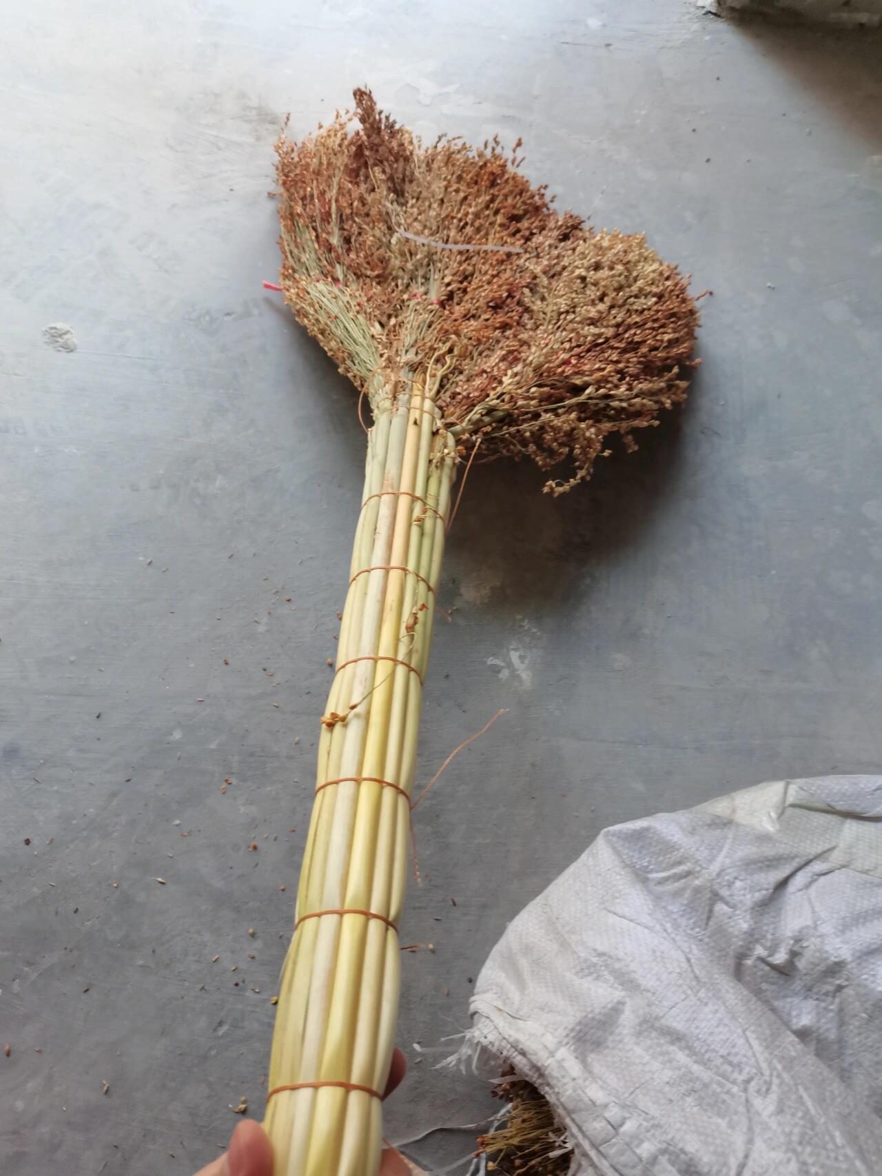 高粱扫帚竟然这么贵