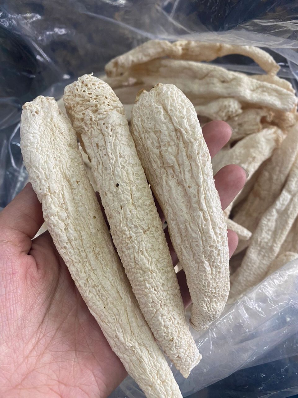 野生竹荪 99野生竹荪 一试便会爱上的正宗野生竹荪,推荐6015肉