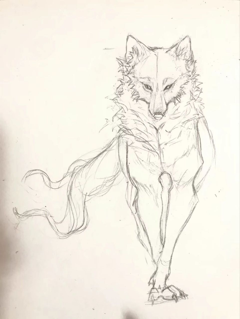 狼的画法 铅笔画图片