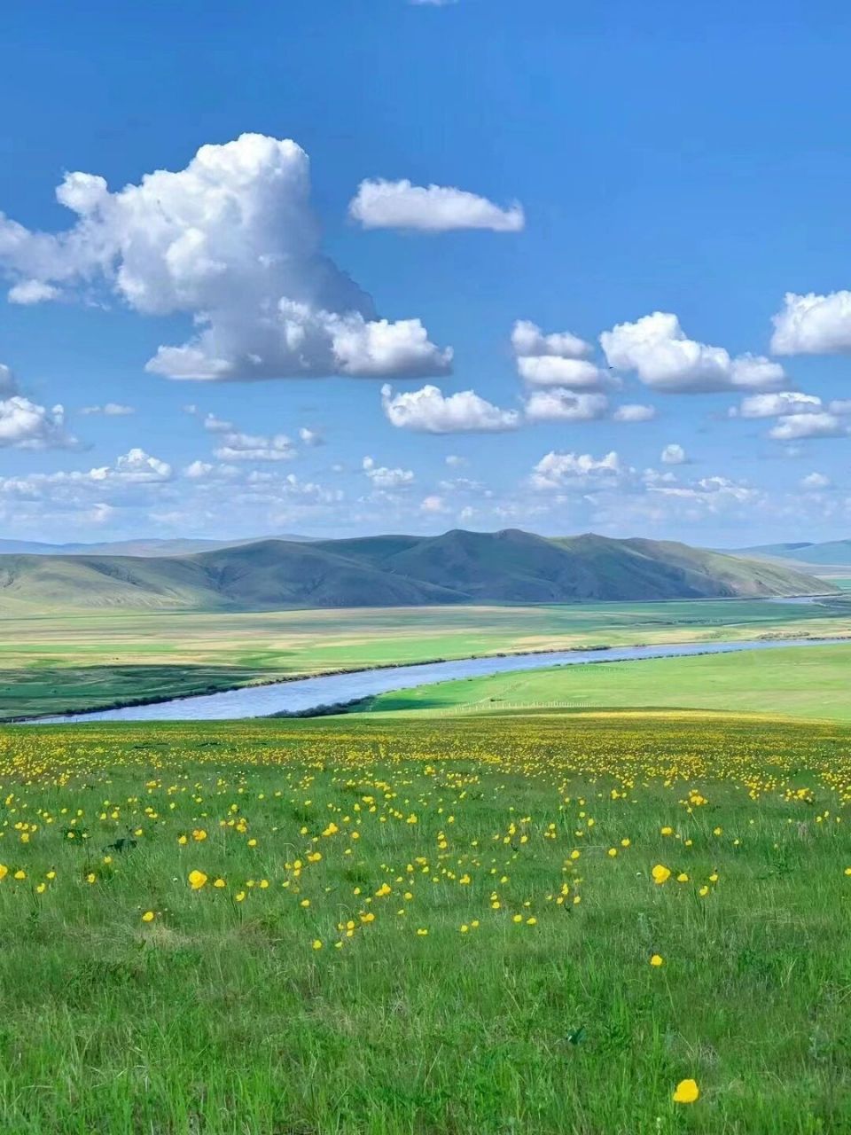 夏天的呼伦贝尔美到心坎09 这个夏天总要去一次大草原,感受到