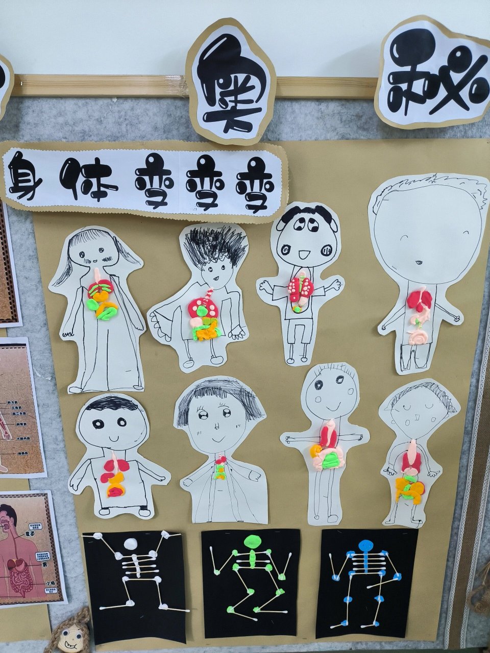 大班主题活动:《小身体,大奥秘》