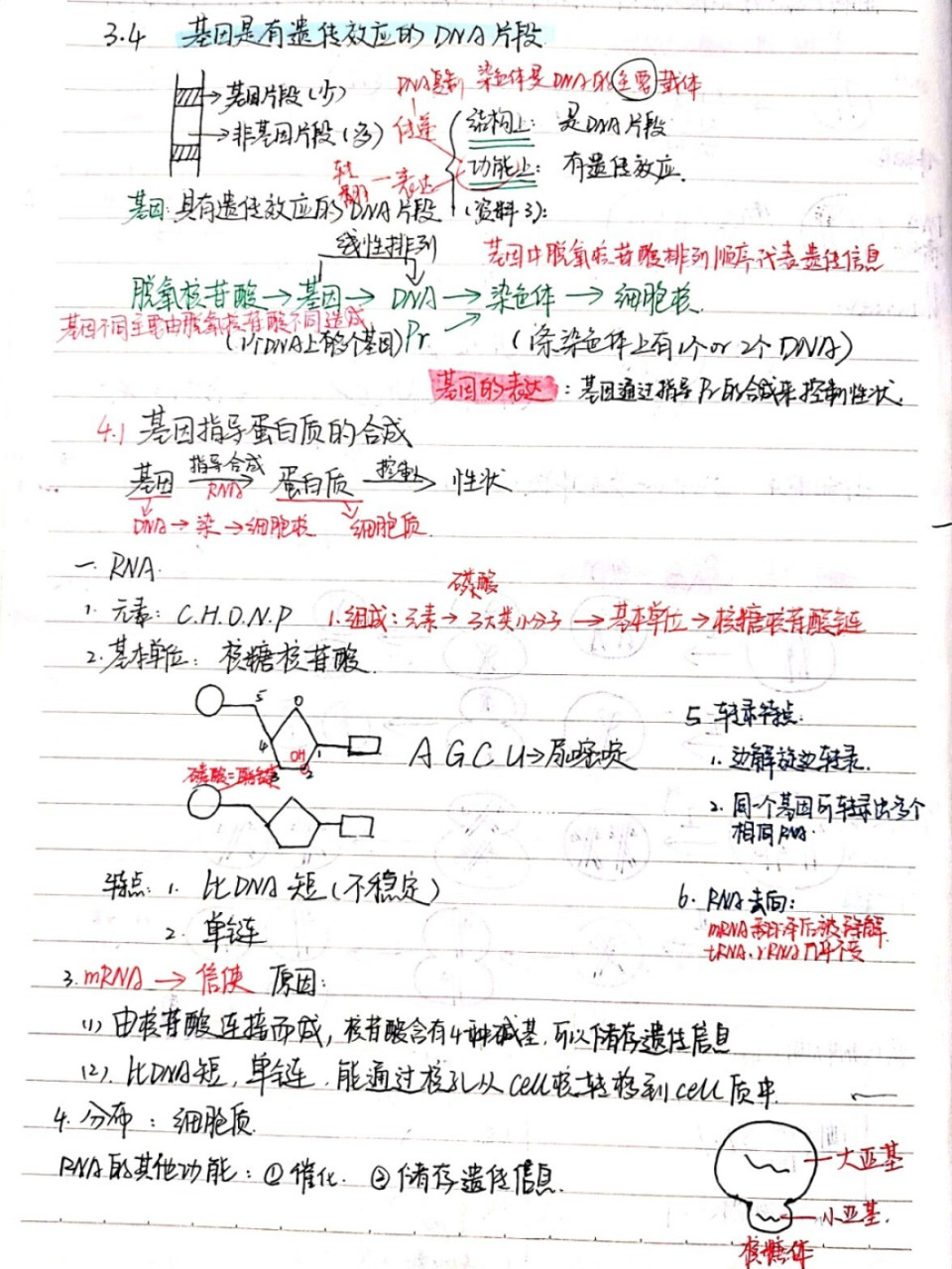 边转录边翻译图片