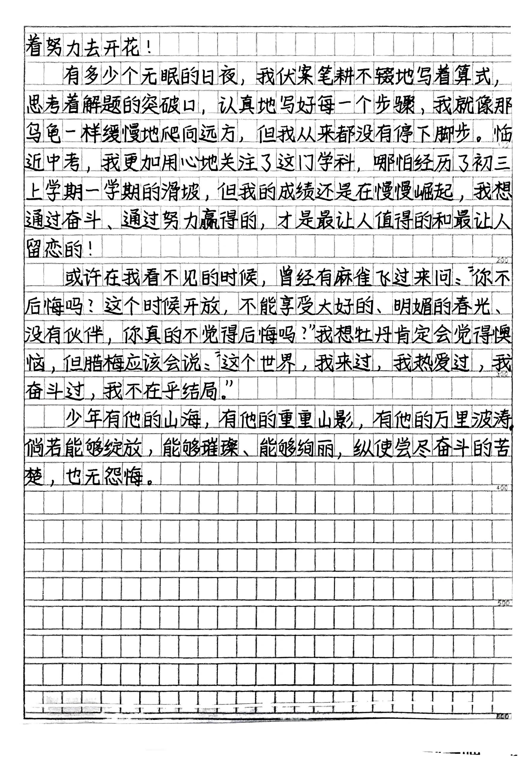 托物言志作文 梅花