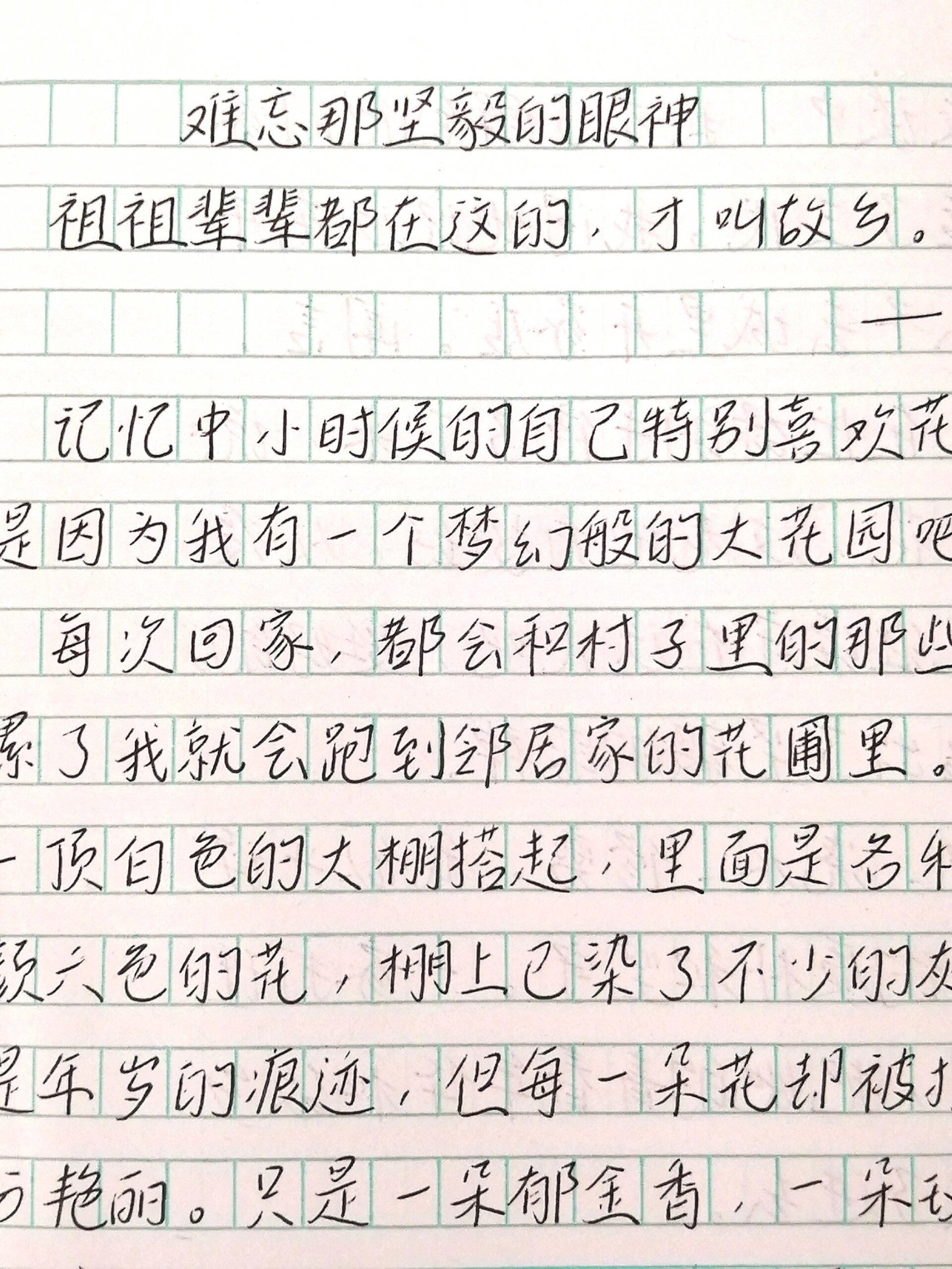 乡情作文600字初中手写图片