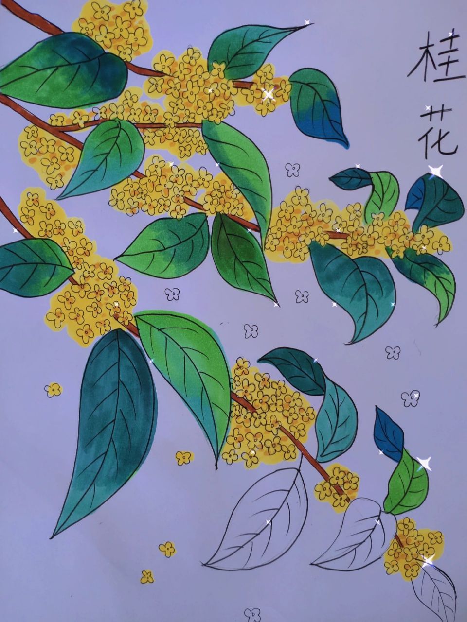 画桂花树的简笔画涂色图片
