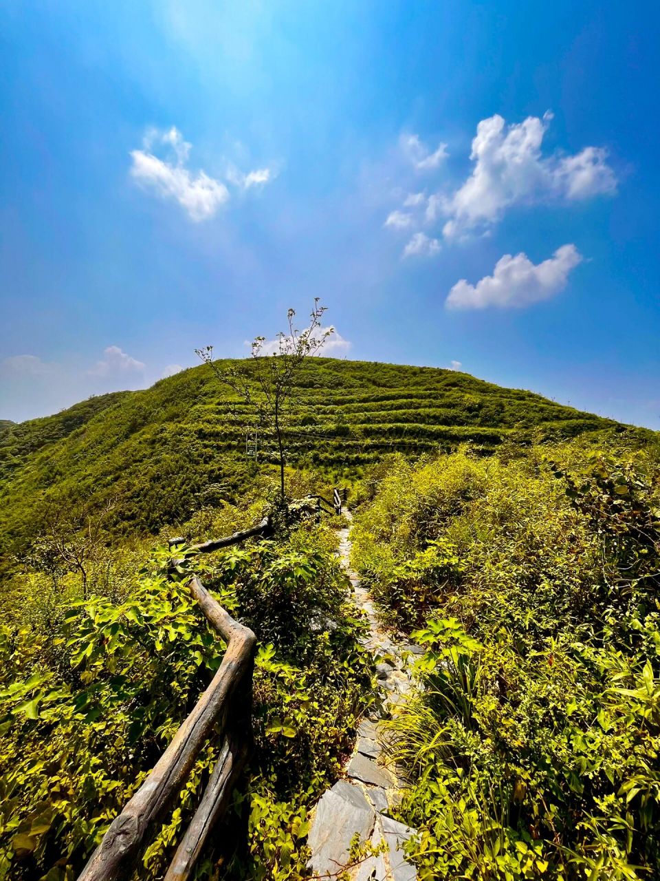 大冶龙角山十八拐图片