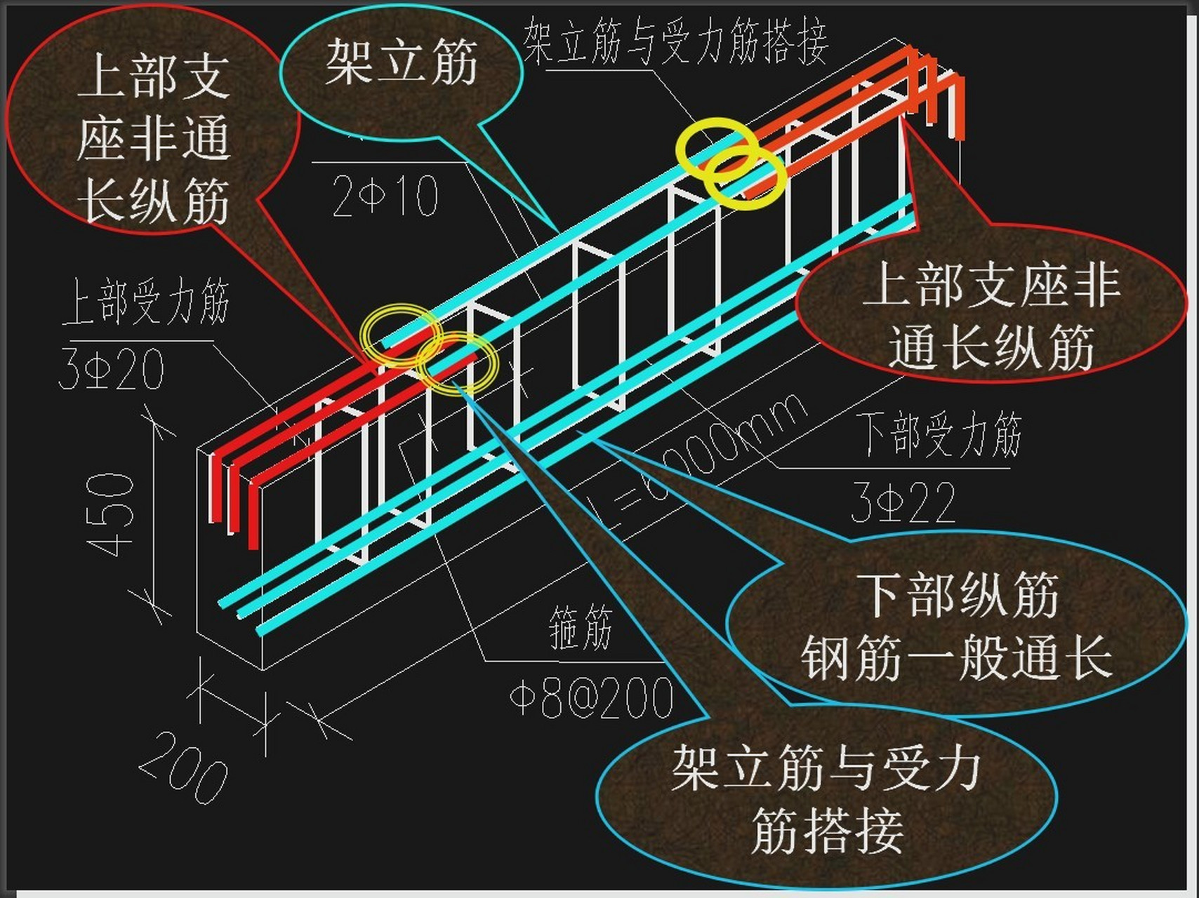 钢筋的布置方法图解图片