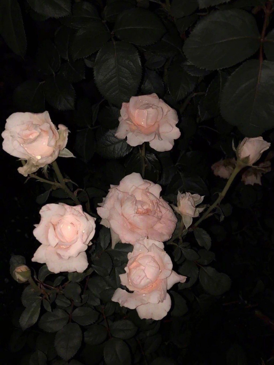 黑色系壁纸 聊天背景