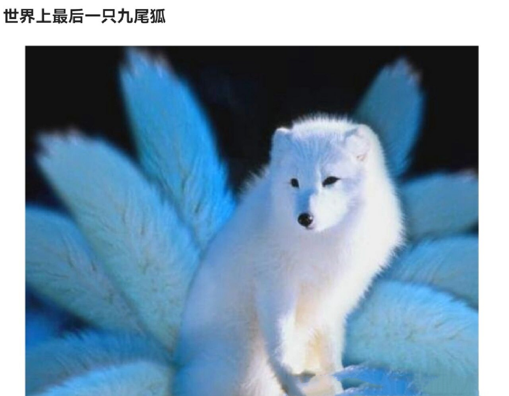 世界上最后一只的白色九尾狐