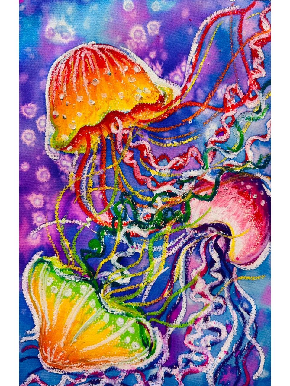 炫彩水母 色彩综合训练:渐变色练习,同类色,邻近色,对比色练习