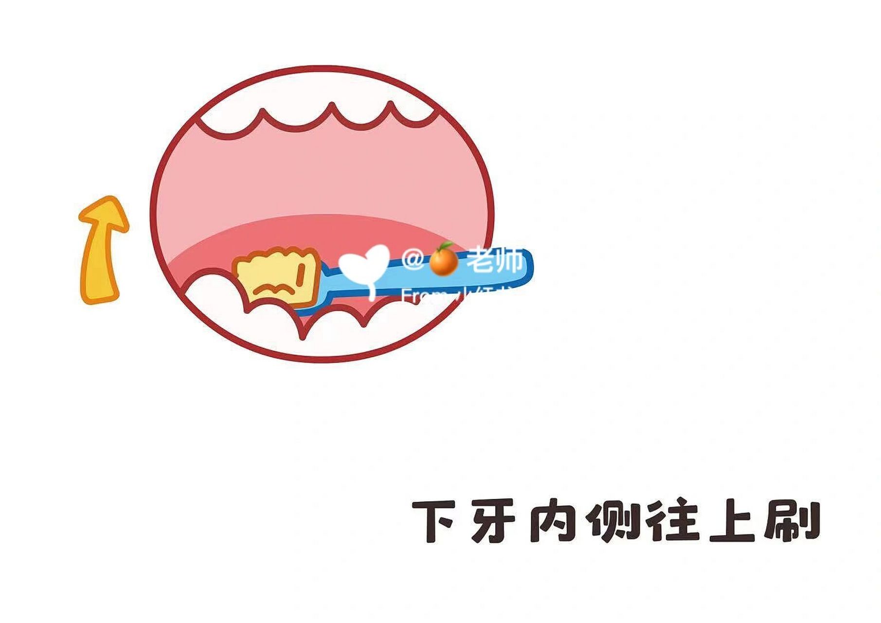 幼儿园学习刷牙步骤图7815 99可直接打印素材哦 99适宜小,中