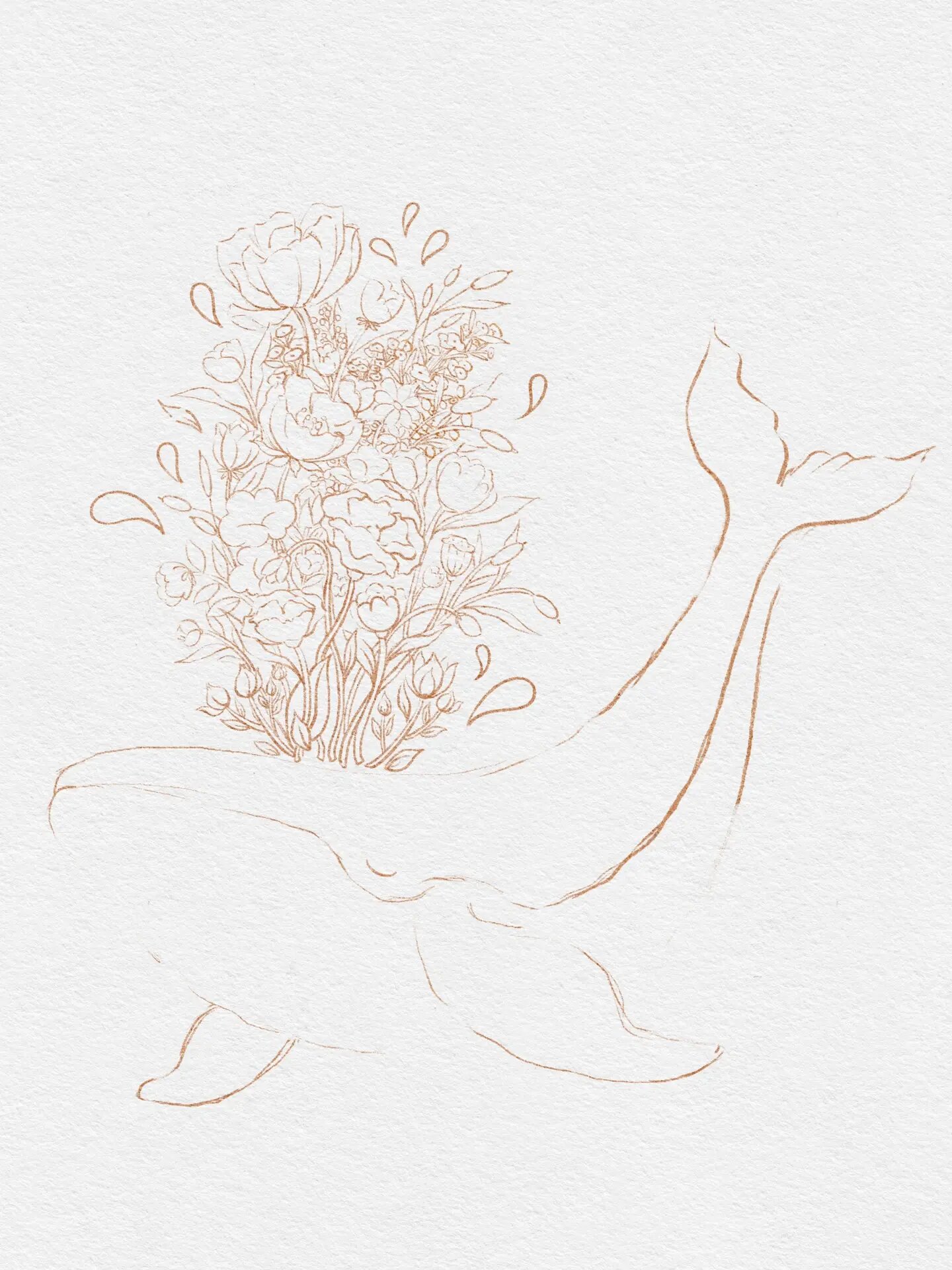 北冥有鱼,其名为鲲