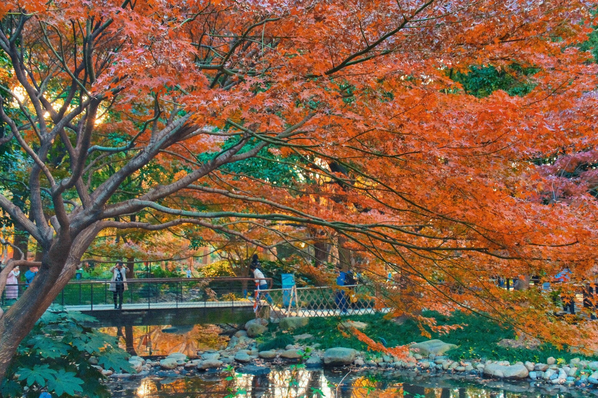 虽然大家一直叫延中绿地其实她的本名叫广场公园