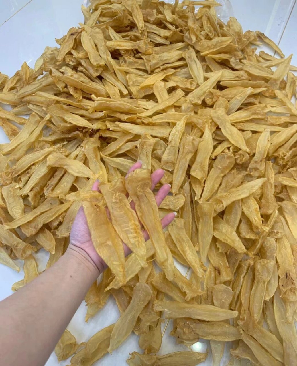 本港白花溪袄70头,难得的小规格老,性价比超高,功能性鱼胶,止血养血