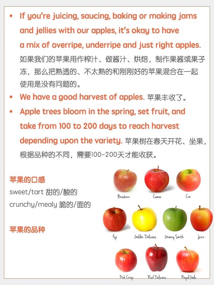 96日常英语 摘苹果go apple picking 96 摘苹果  sweet/tart 甜的