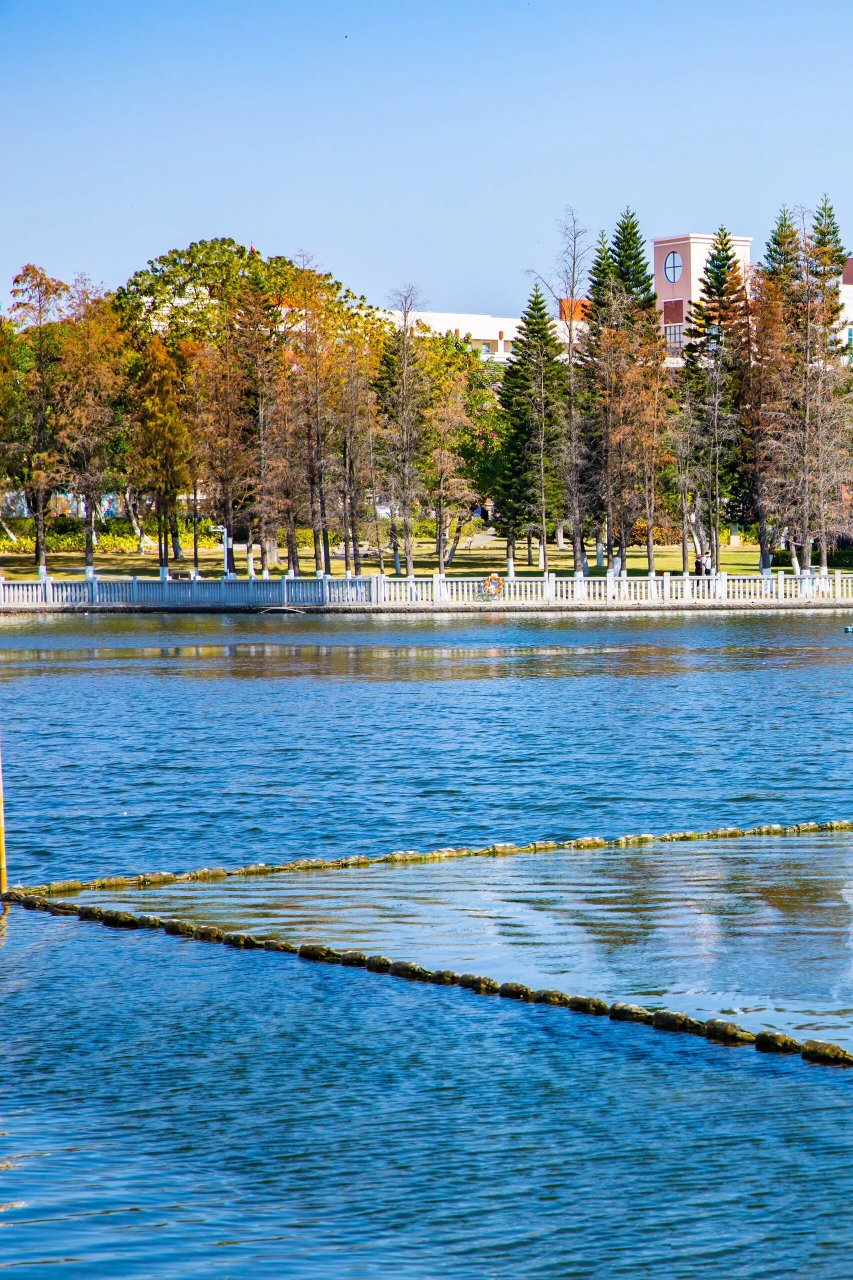家门口的风景|杏林日东公园的秋冬晚霞 探索笔记: 	 ◎看到分享的日东