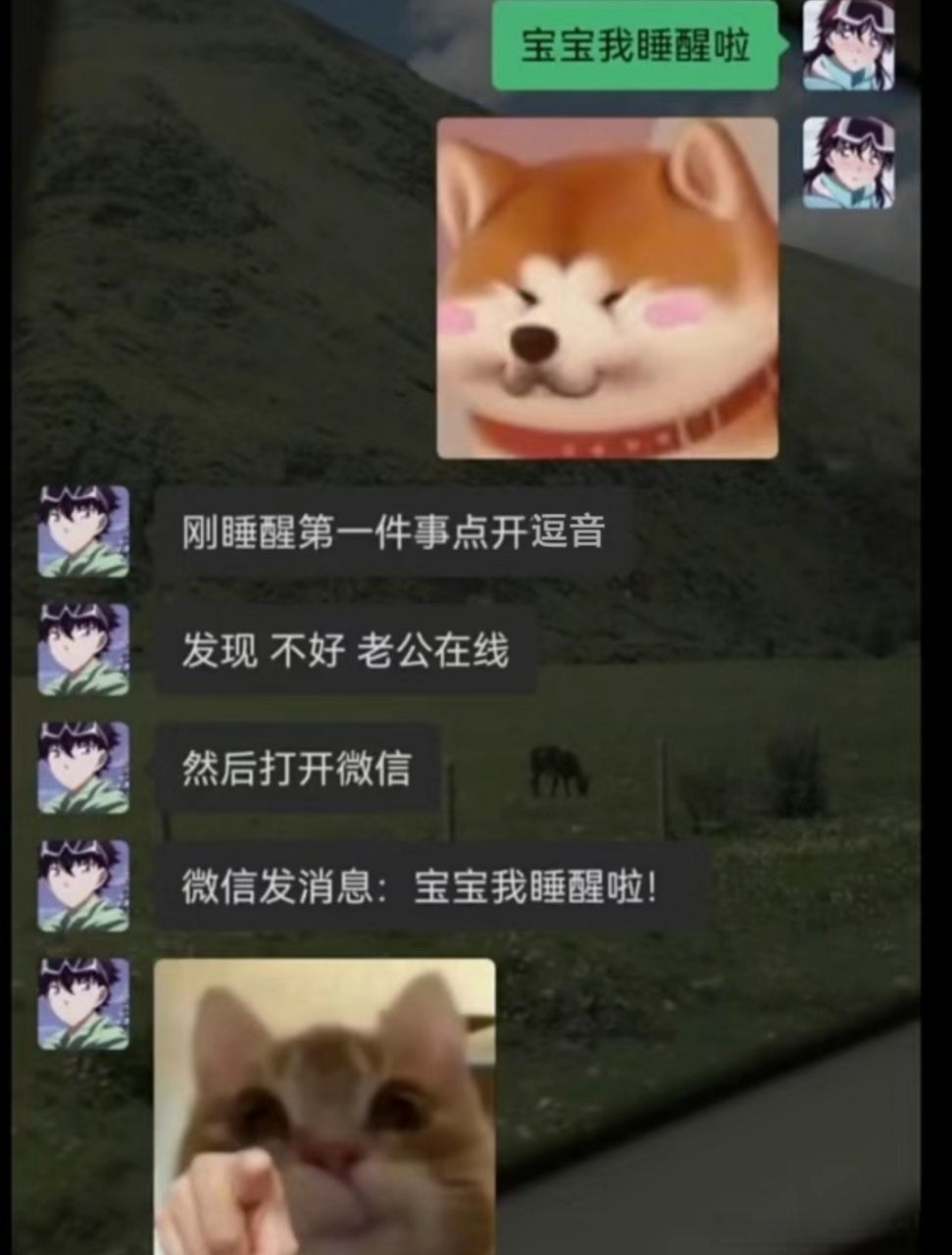 你听我狡辩!不不不!听我解释[流泪]