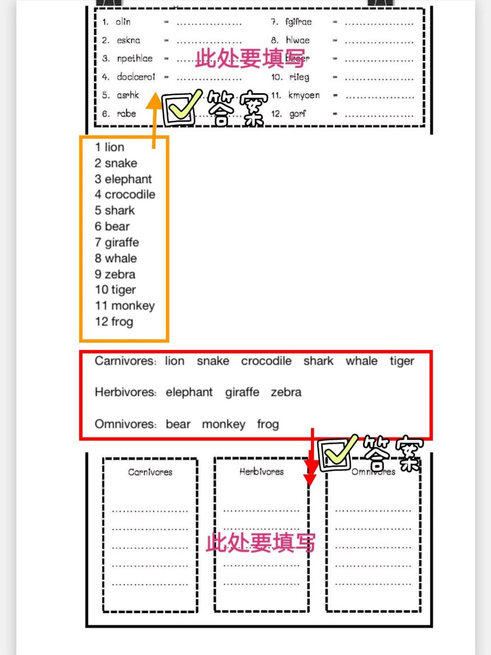 英语立体书制作过程图片