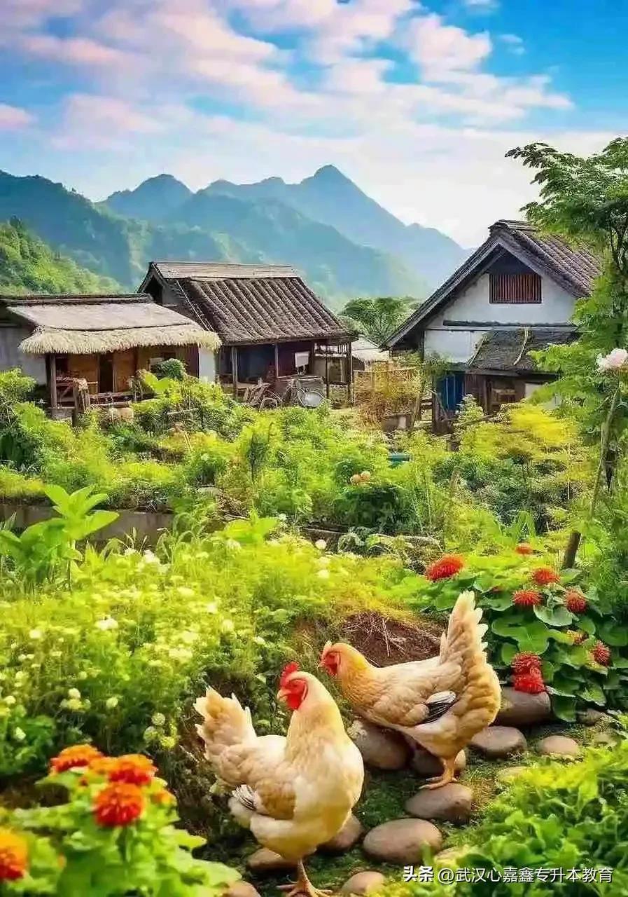 美的乡村,青山绿水,白墙黛瓦,鸡鸭成群.