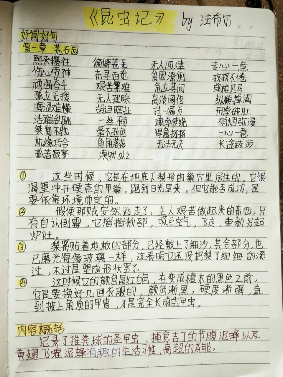 《昆虫记》第一章荒石园 读书笔记 字太丑了