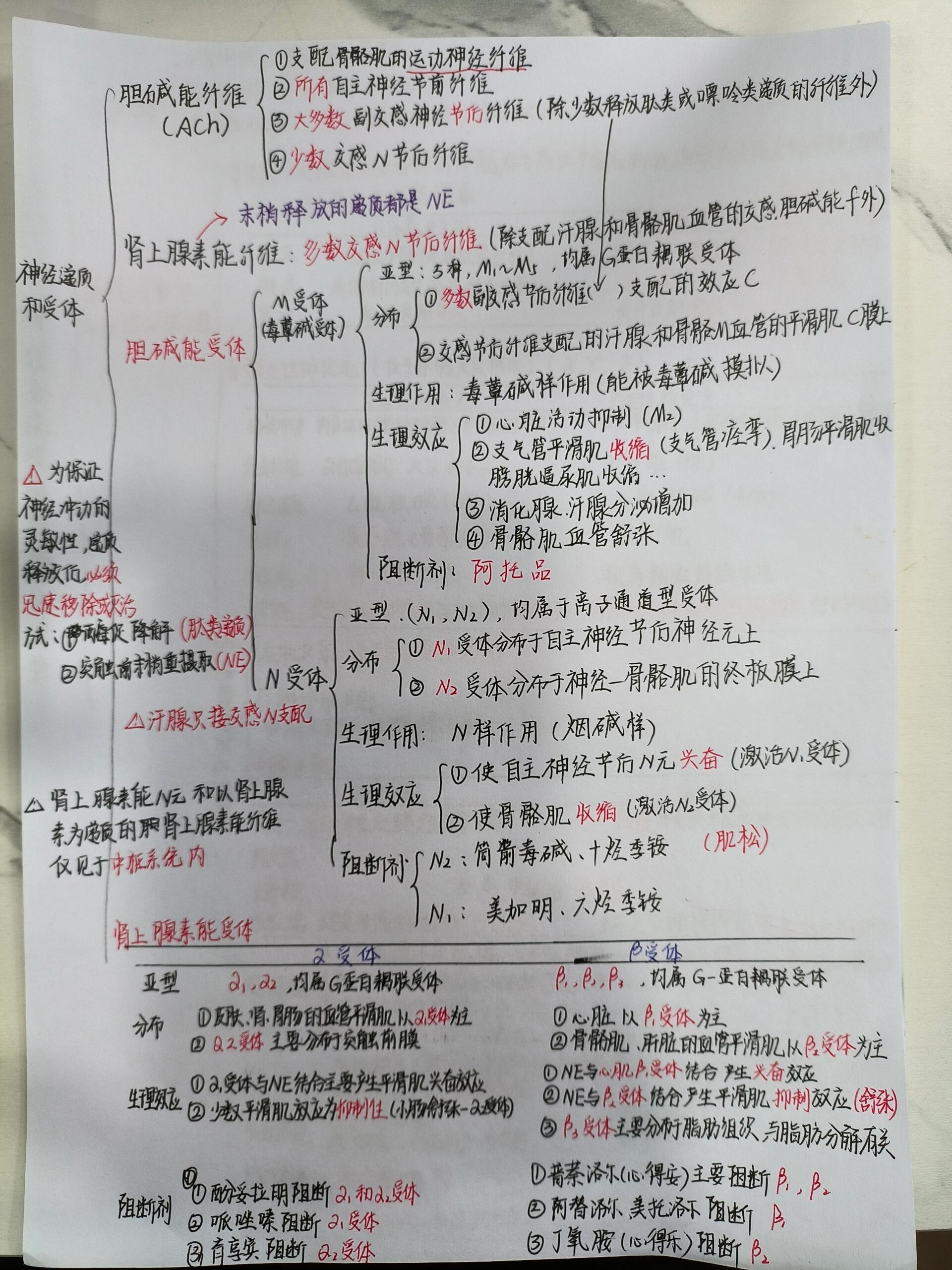 生理 神经系统的功能 笔记打卡 73神经系统的功能 神经元,神经胶质