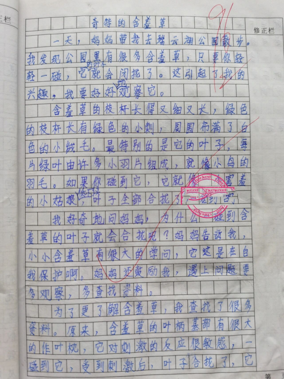 《奇特的含羞草》 三年级上册第五单元学生优秀作文:我们眼中的缤纷