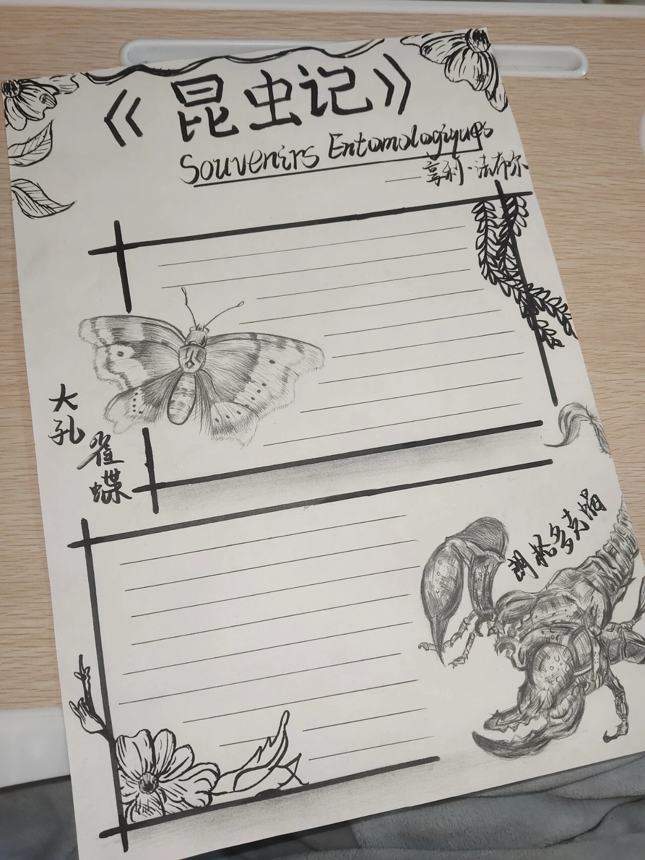 《昆虫记》 画了好几个小时蝎子真的画颠去啦要