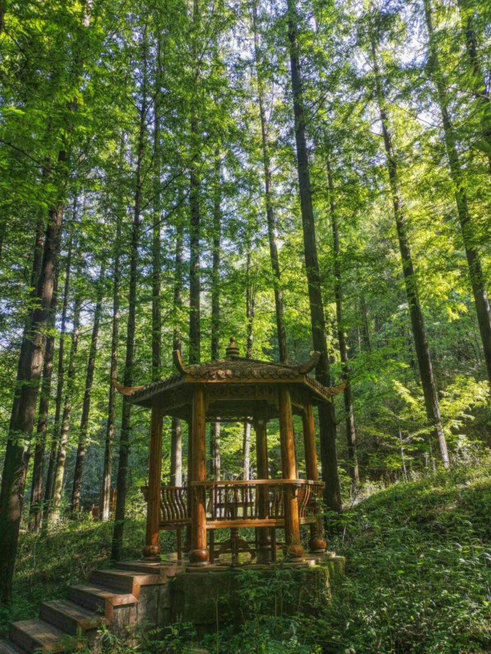 灵宝燕子山景区图片