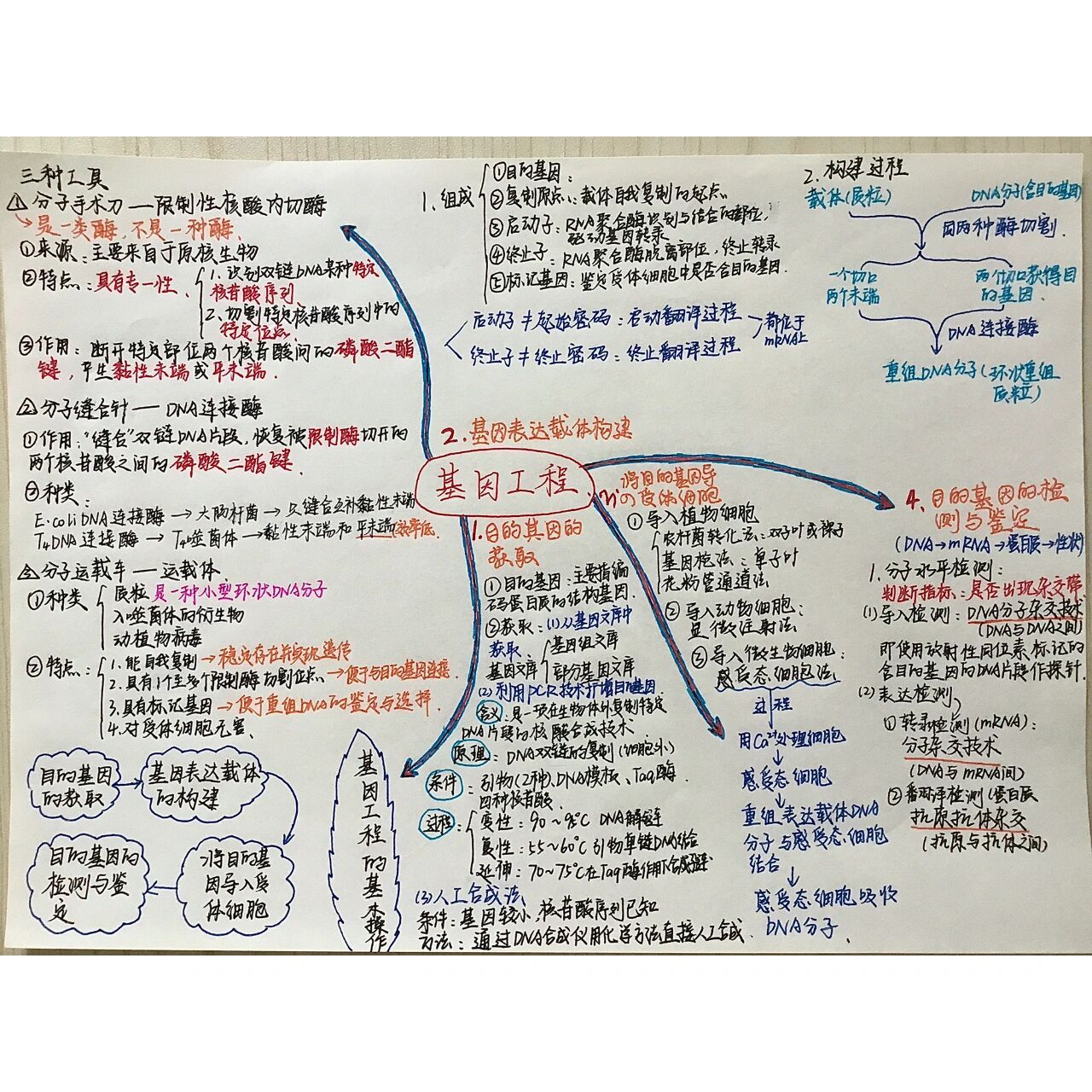 《基因工程》思维导图 生物选修三《基因工程》