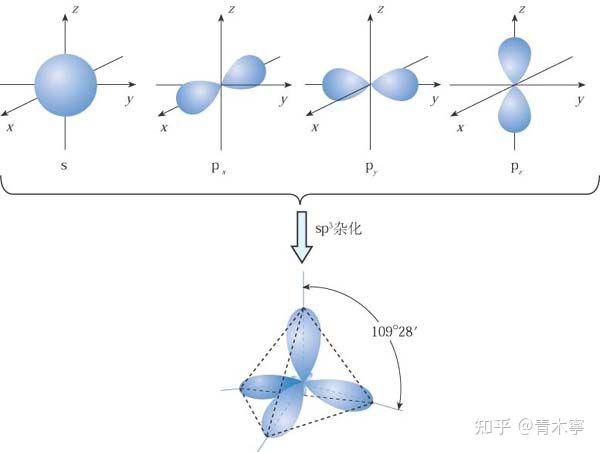 碳原子结构示意图轨道图片