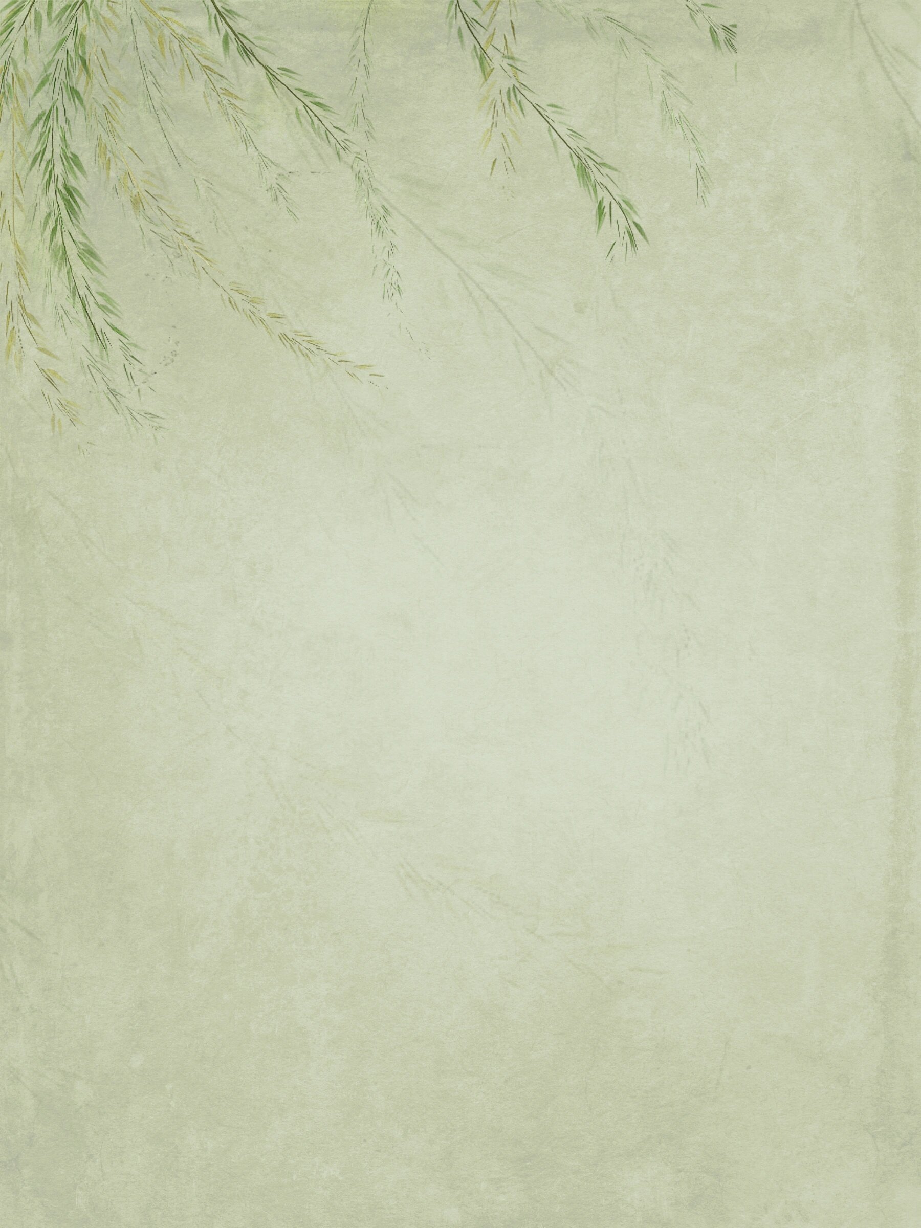 中国风壁纸|古风素材|柳叶背景图|纹理底图