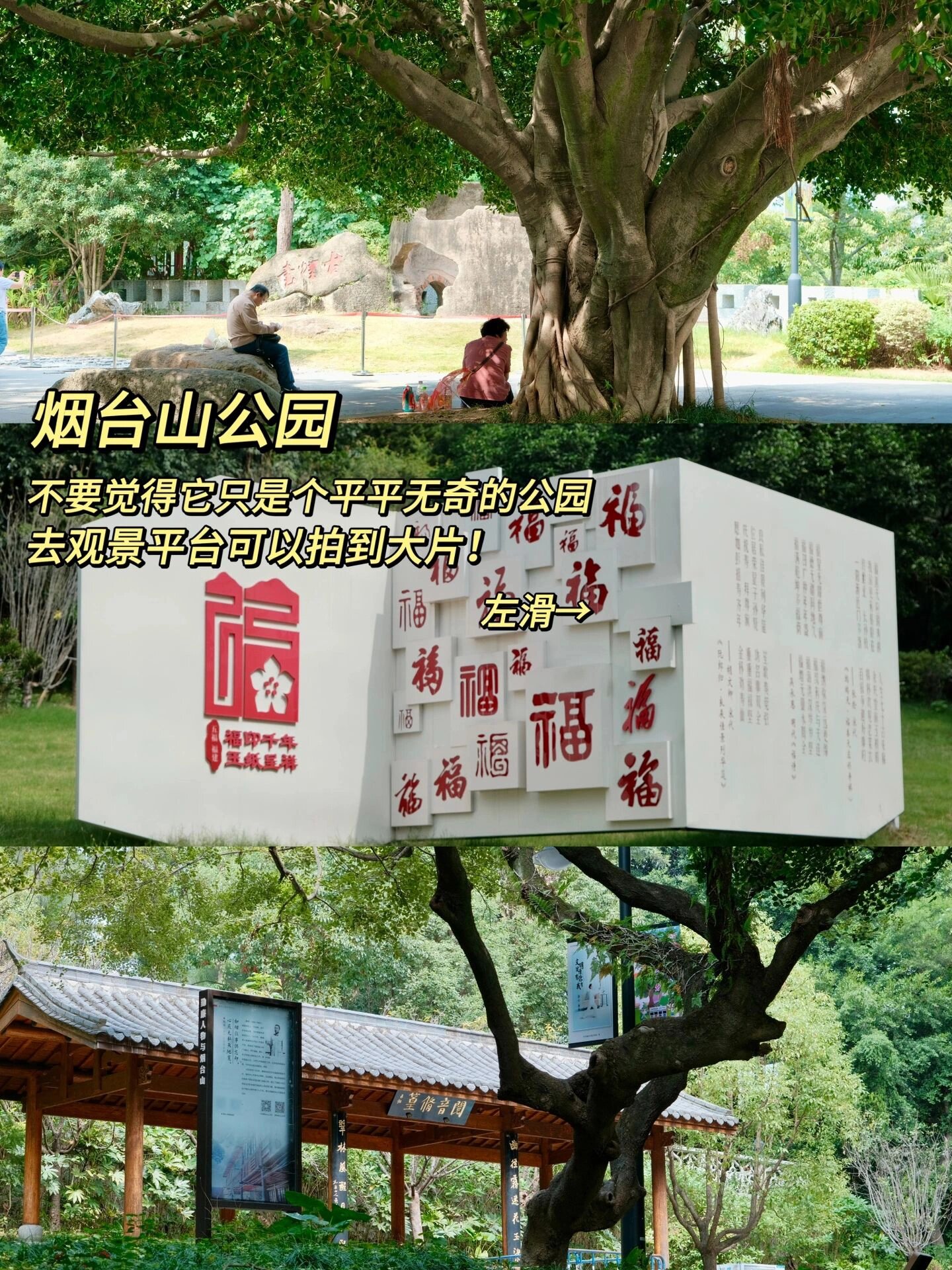 烟台山公园开放时间图片