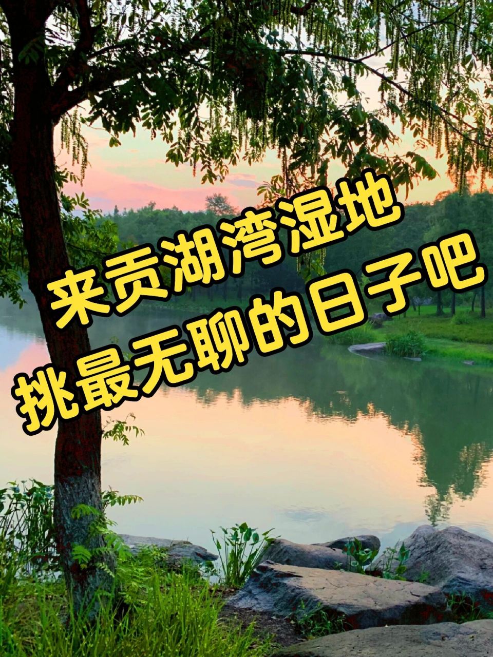 贡湖湾湿地公园门票图片