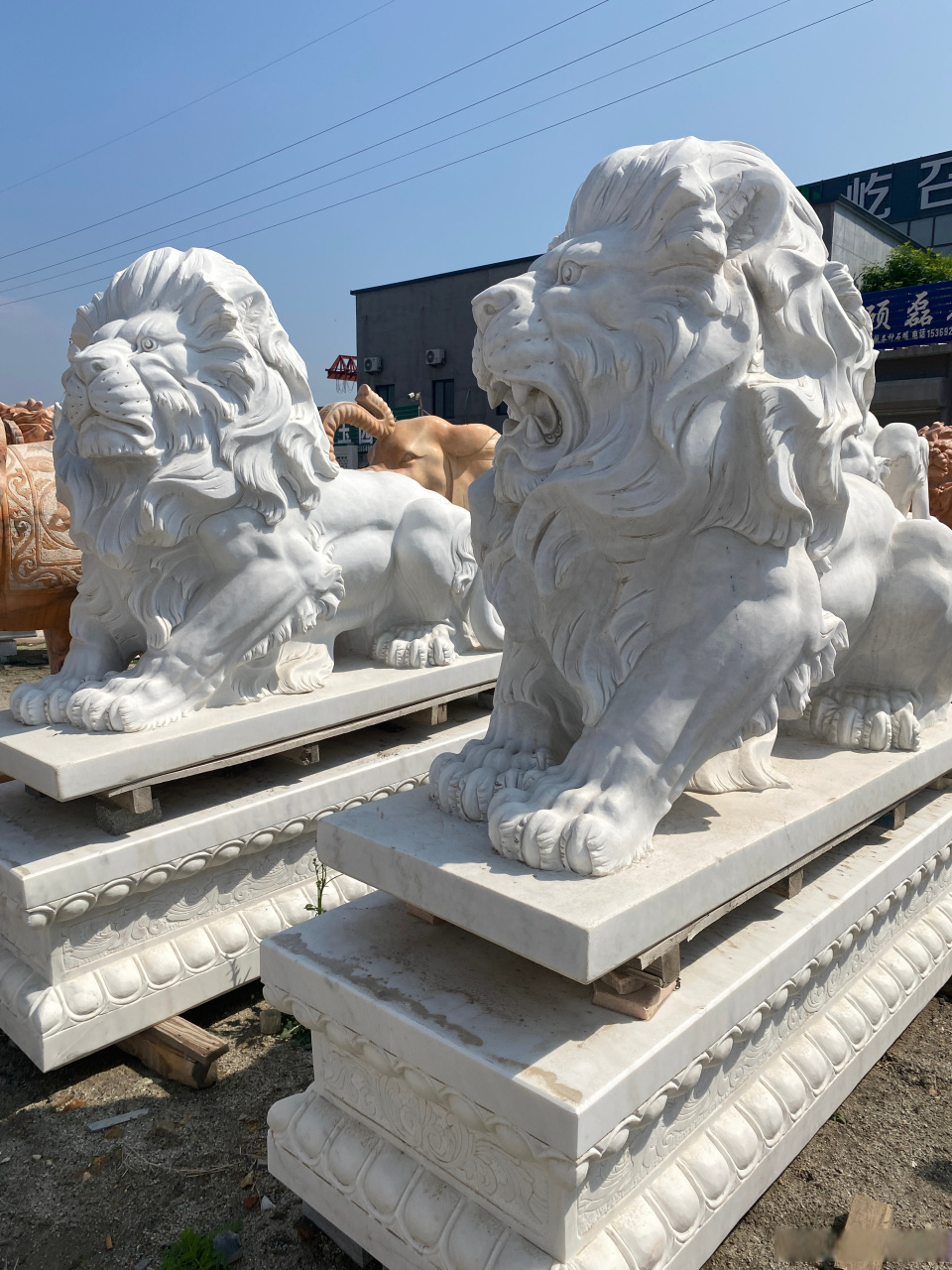 石雕狮子大理石欧式石狮子一对蹲式狮子晚霞红爬狮雕塑门口摆件#石雕