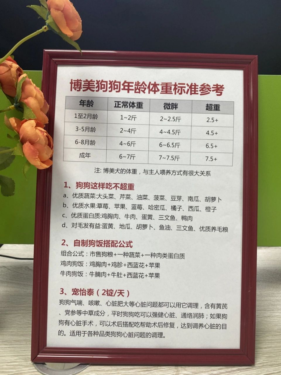 博美狗狗年龄体重标准参考7215狗狗生病 8715狗狗怎么吃不
