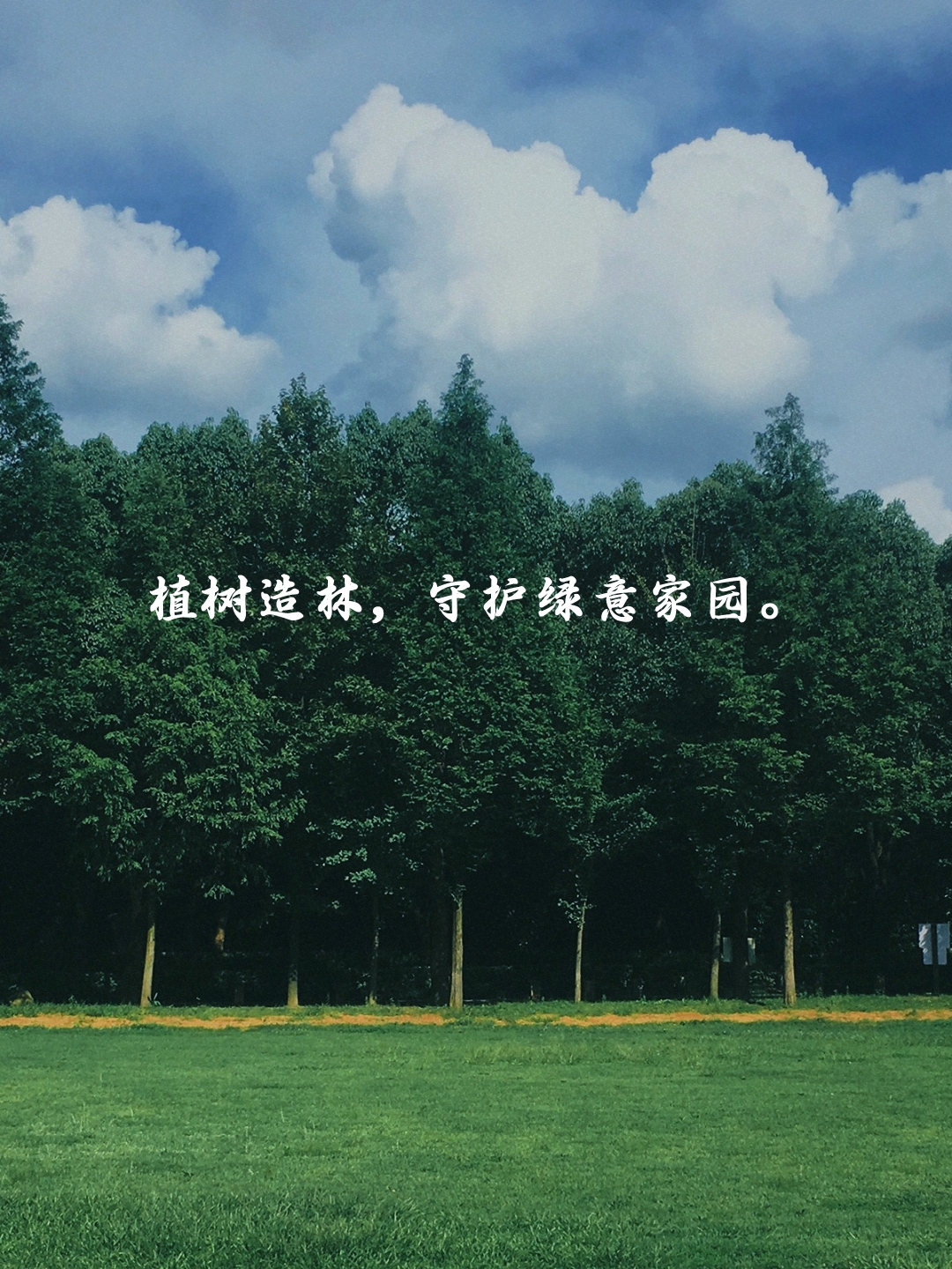 植树造林的宣传语 在这个春意盎然的季节里,我们迎来