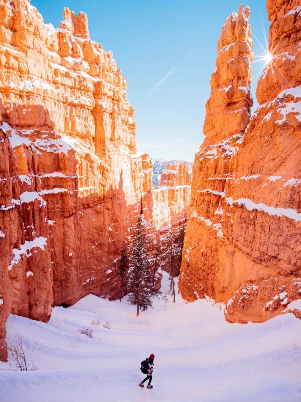 冬季最美国家公园 bryce canyon布莱斯峡谷 冬天的bryce canyon让我又