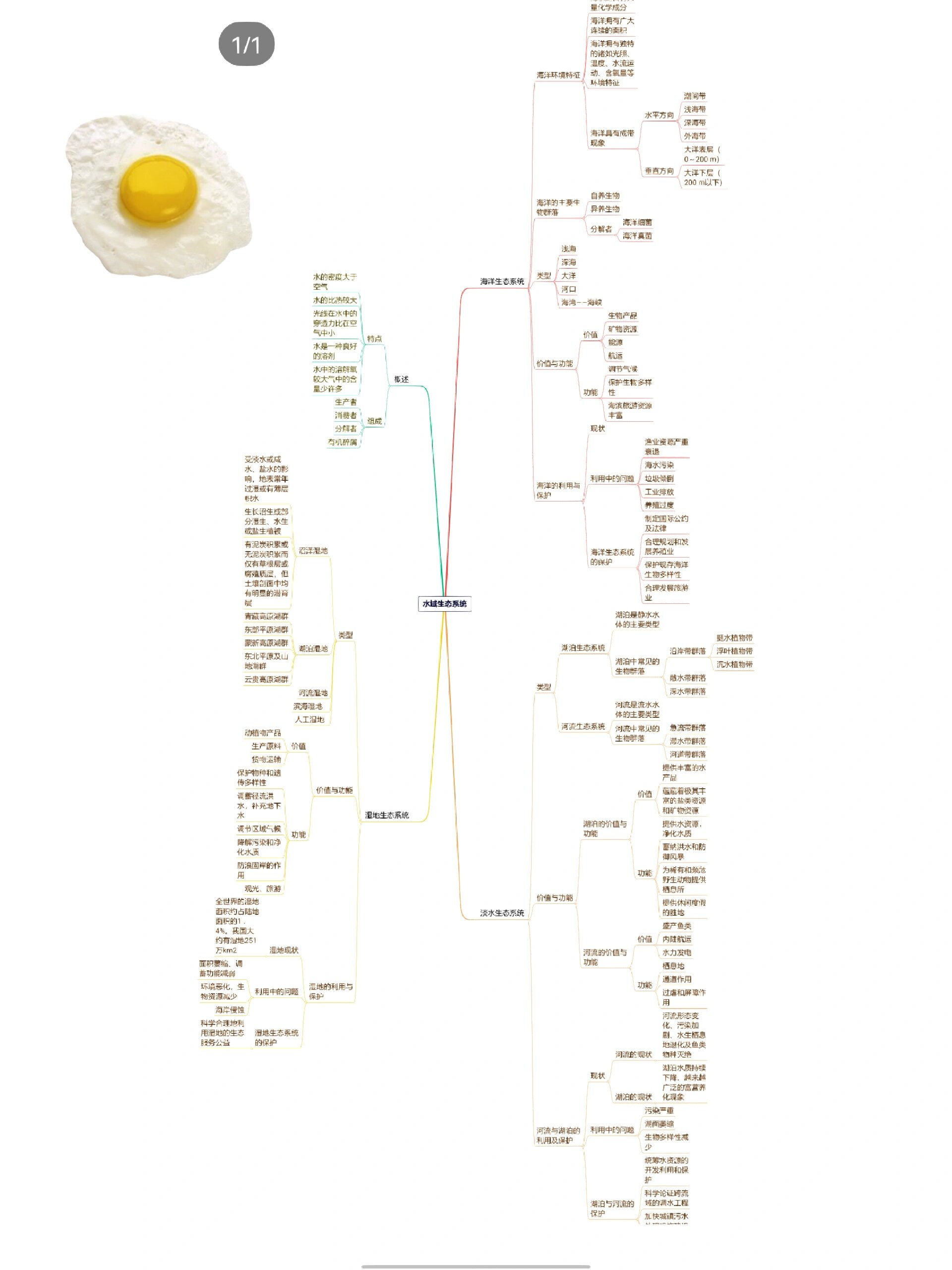 生态学生态系统思维导图