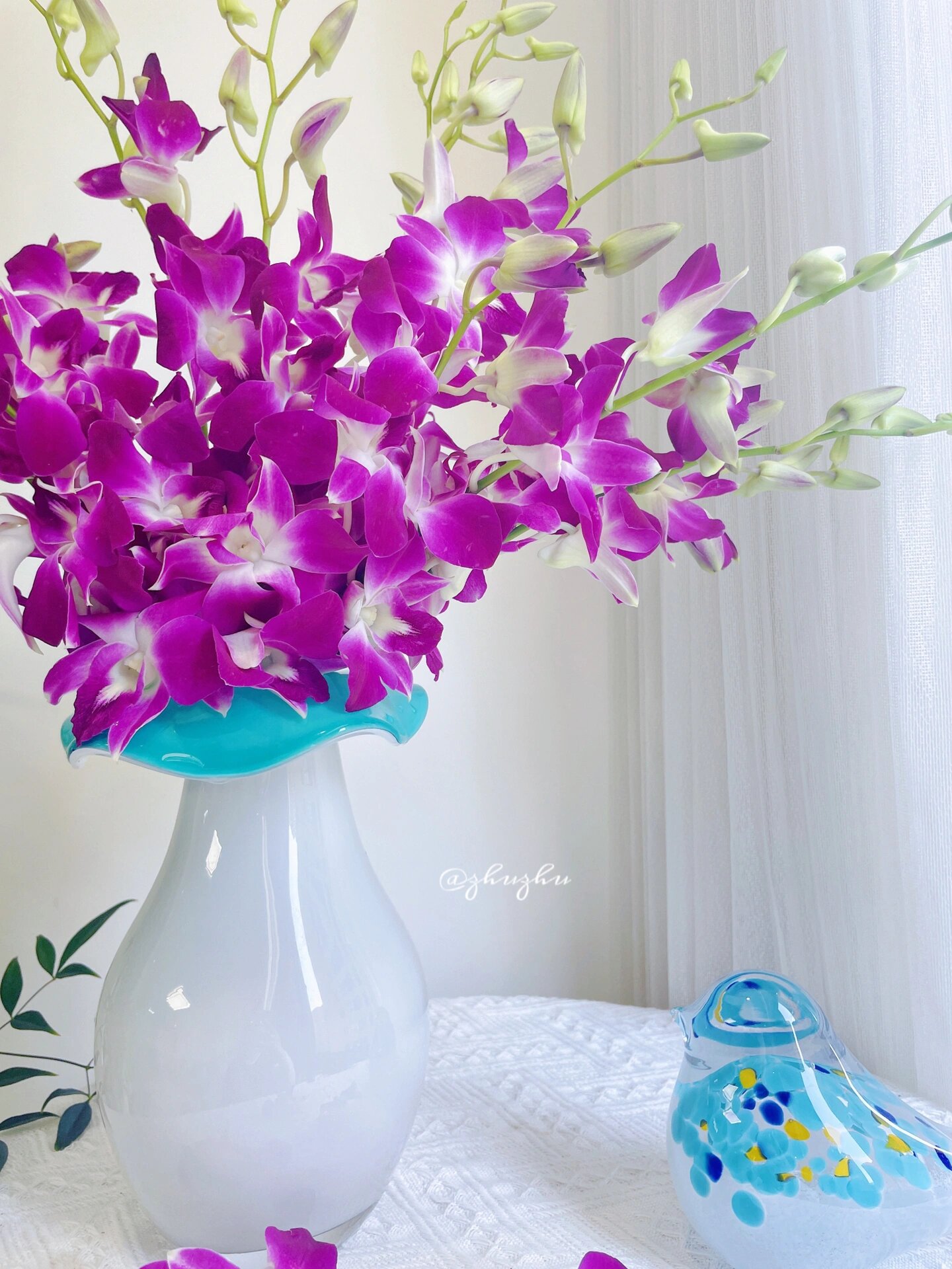 紫色洋兰 紫色洋兰外形美观,株型秀美,花朵娇艳且颜色丰富.