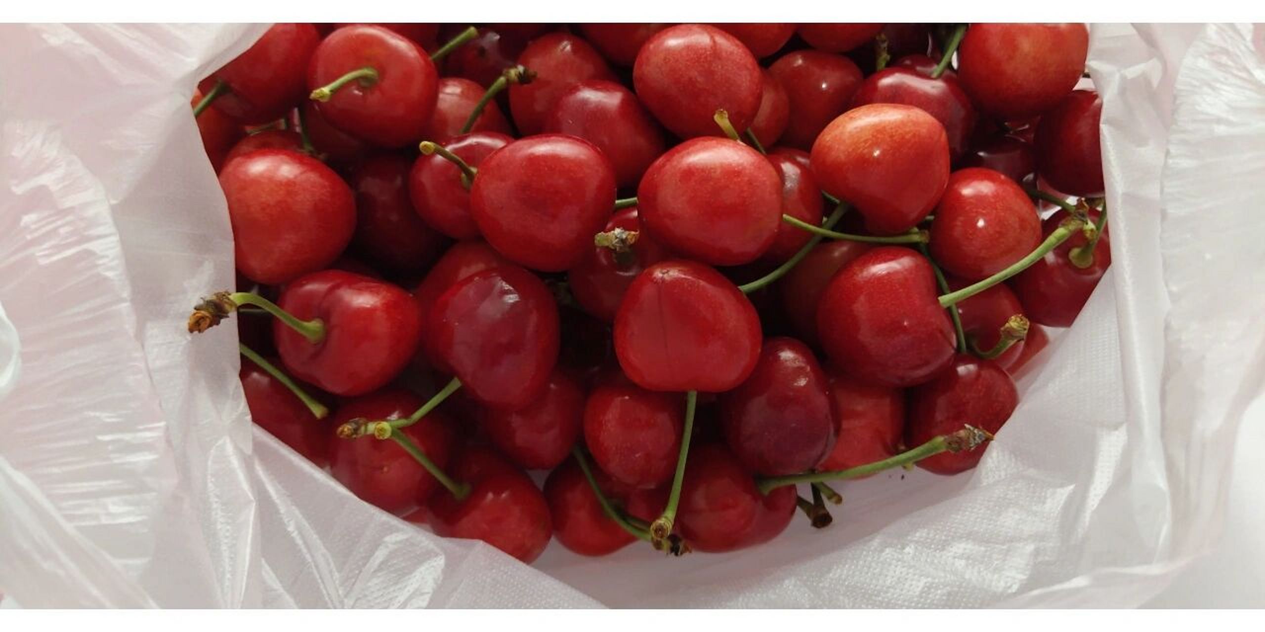 好吃的高沙大樱桃好啦! 大连得利寺的大樱桃      高沙大樱桃!