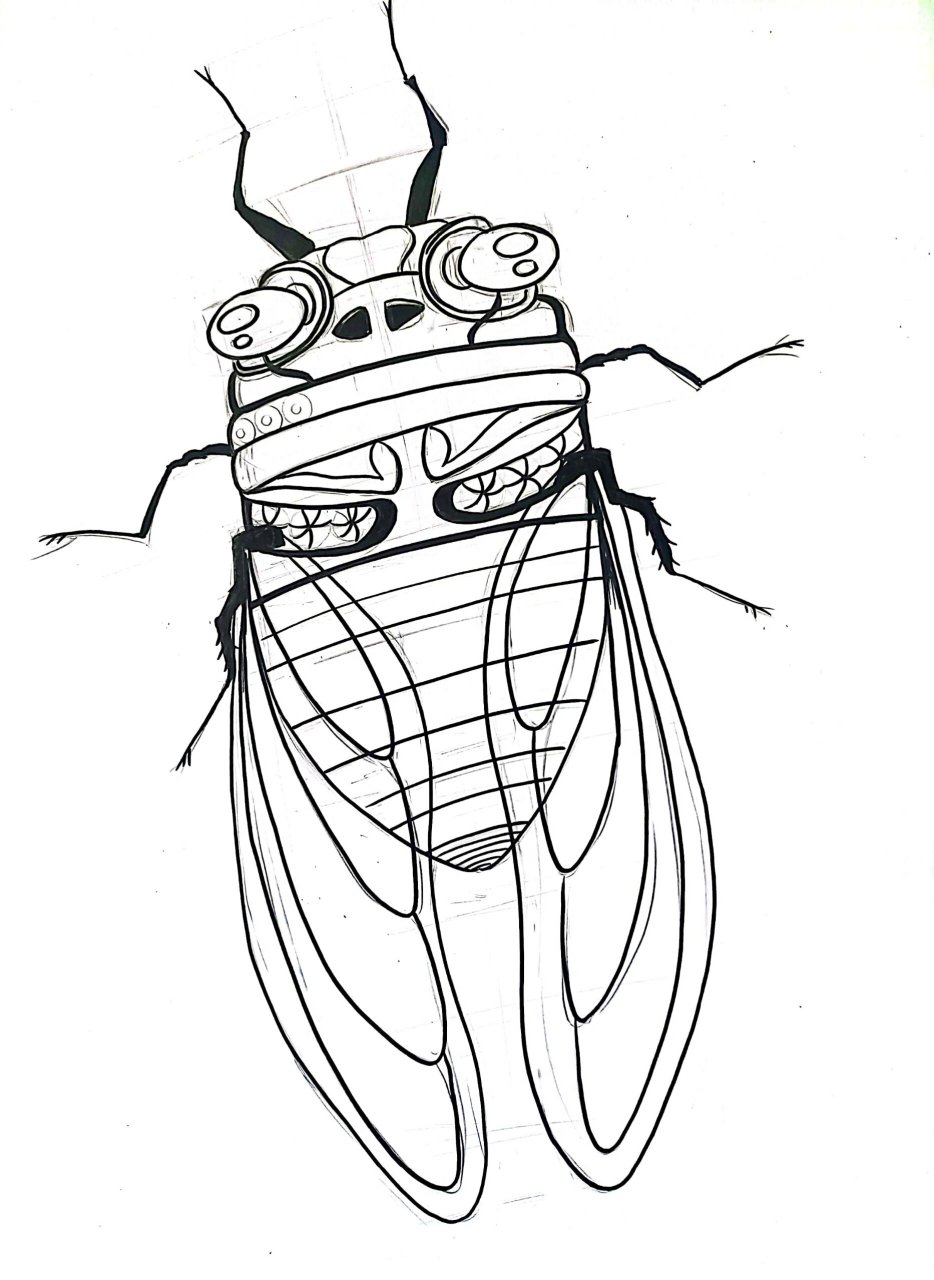 96166150661556615|蝉‖黑白线描 96线描——"蝉"