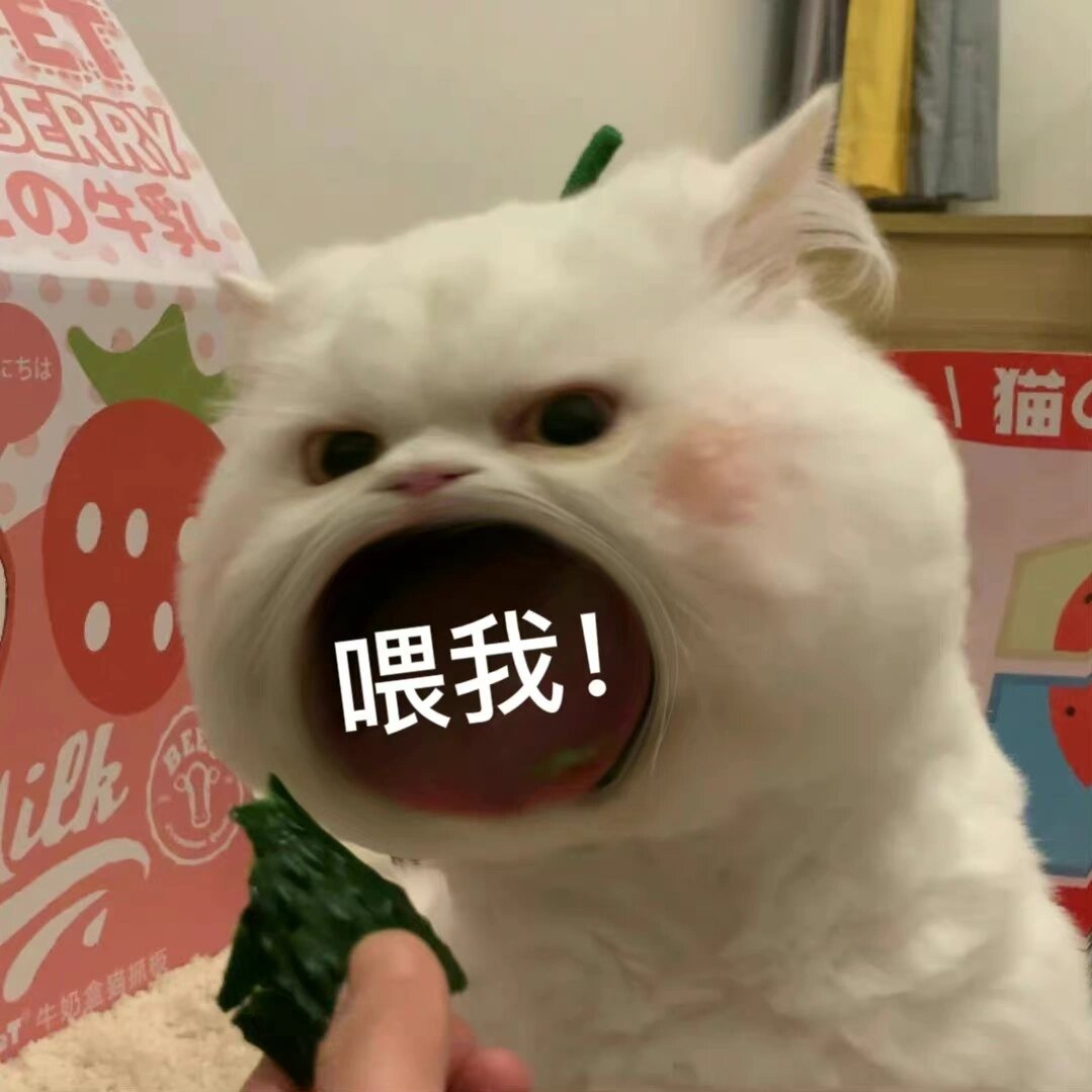 猫张大嘴喊老婆表情包图片