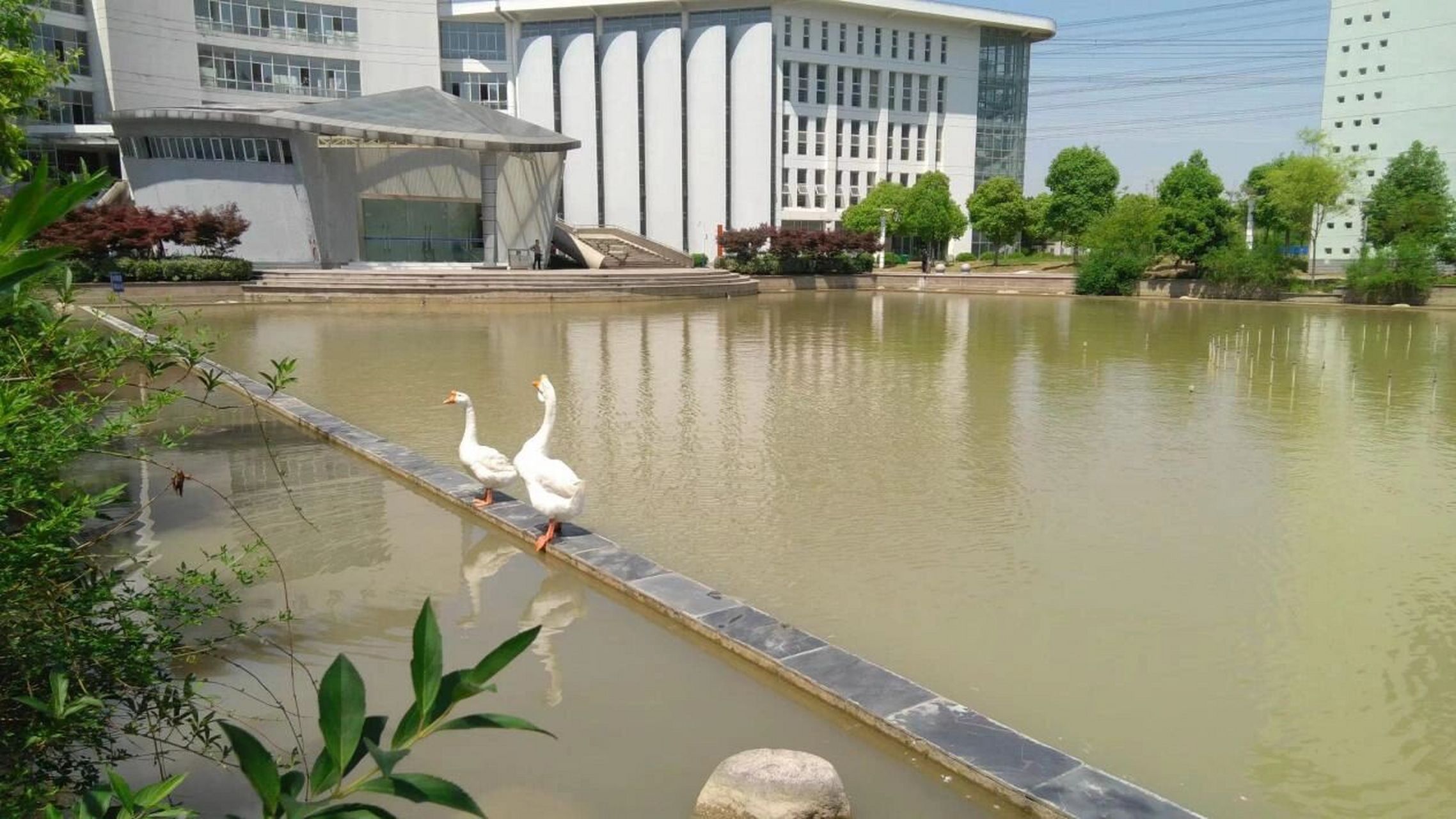 安徽财贸职业学院(翡翠校区) 安财贸翡翠校区风景图