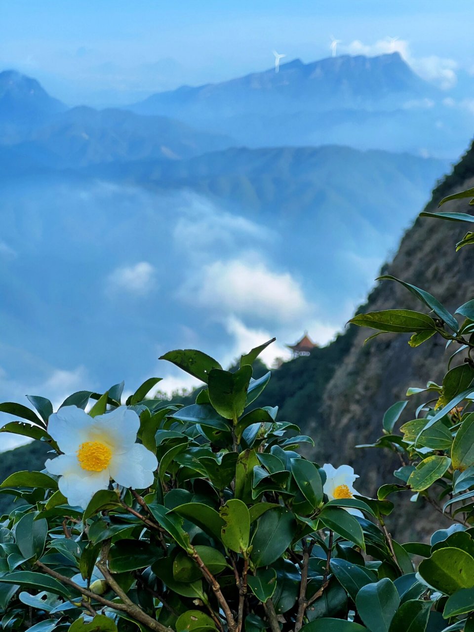 广西的云海 | 贵港平天山国家森林公园 73徒步地址:贵港市平天山