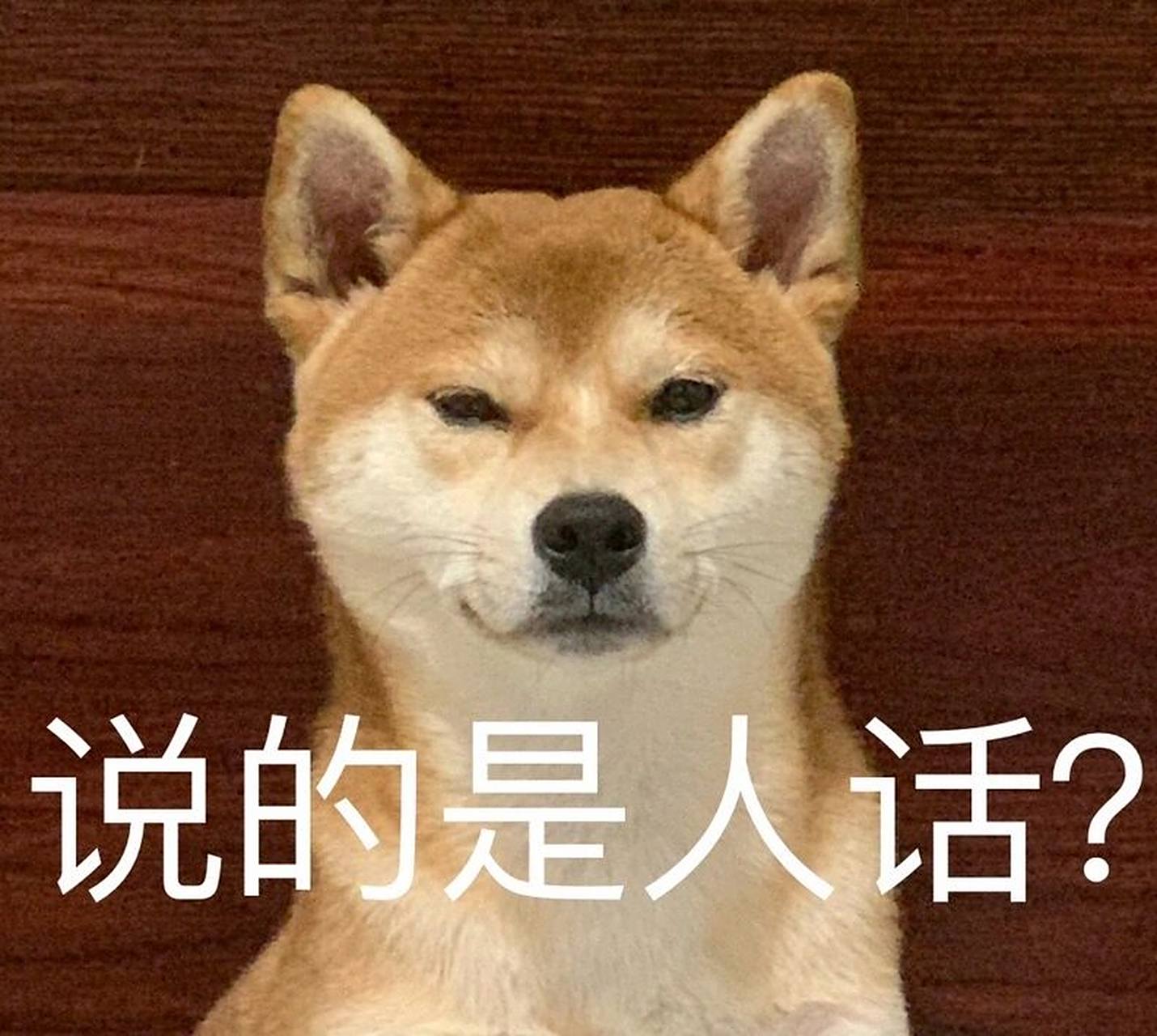 精选狗头|表情包 哈哈哈哈哈哈哈哈哈哈哈哈哈哈哈哈哈哈哈哈哈哈哈哈