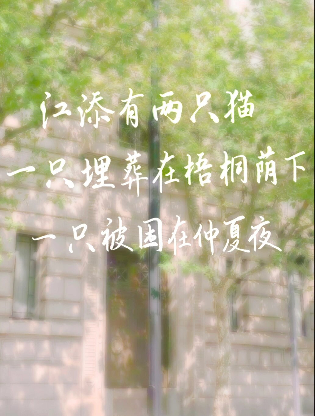 某某  木苏里/手写壁纸