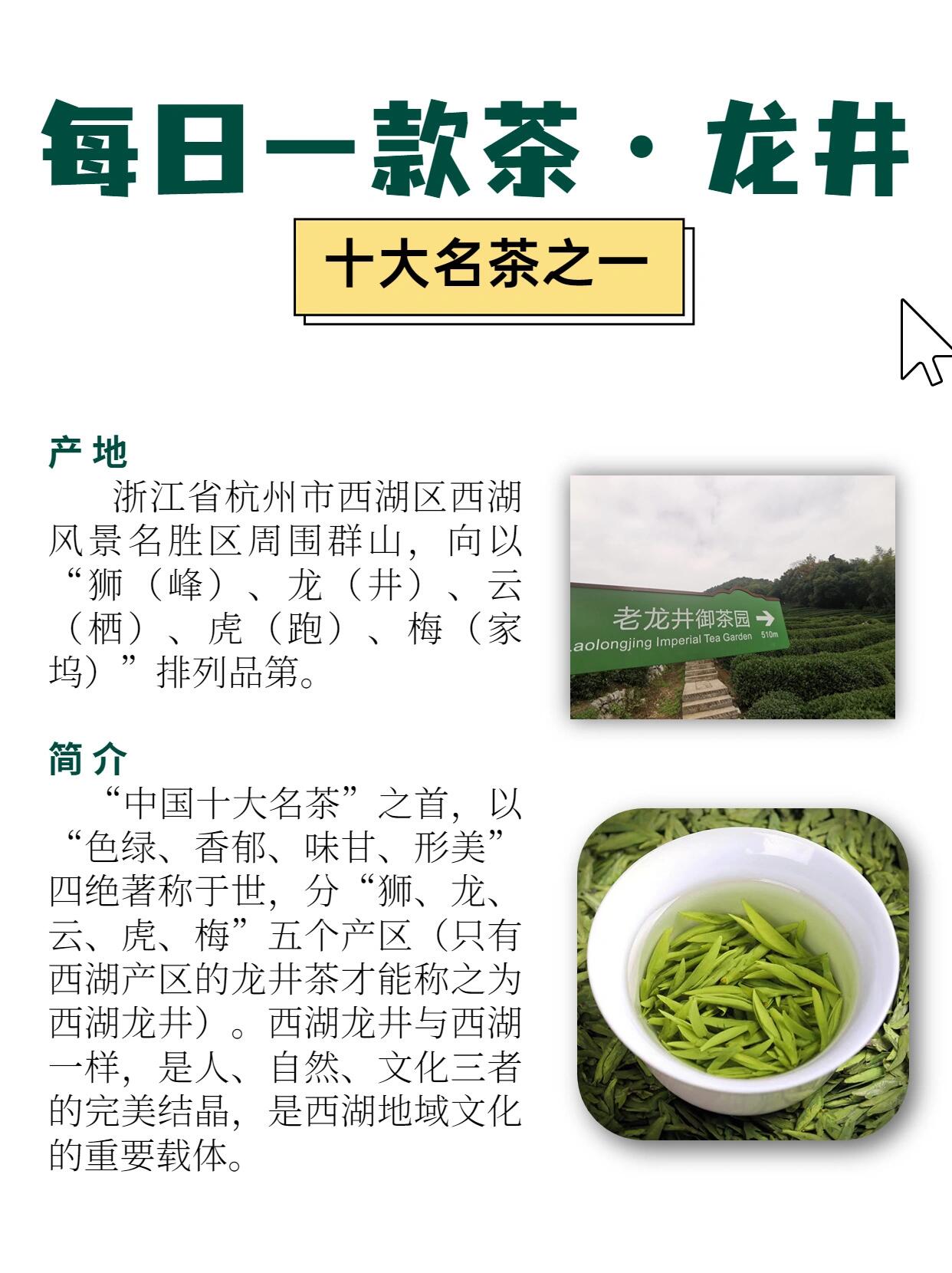 龙井茶的功效与作用图片