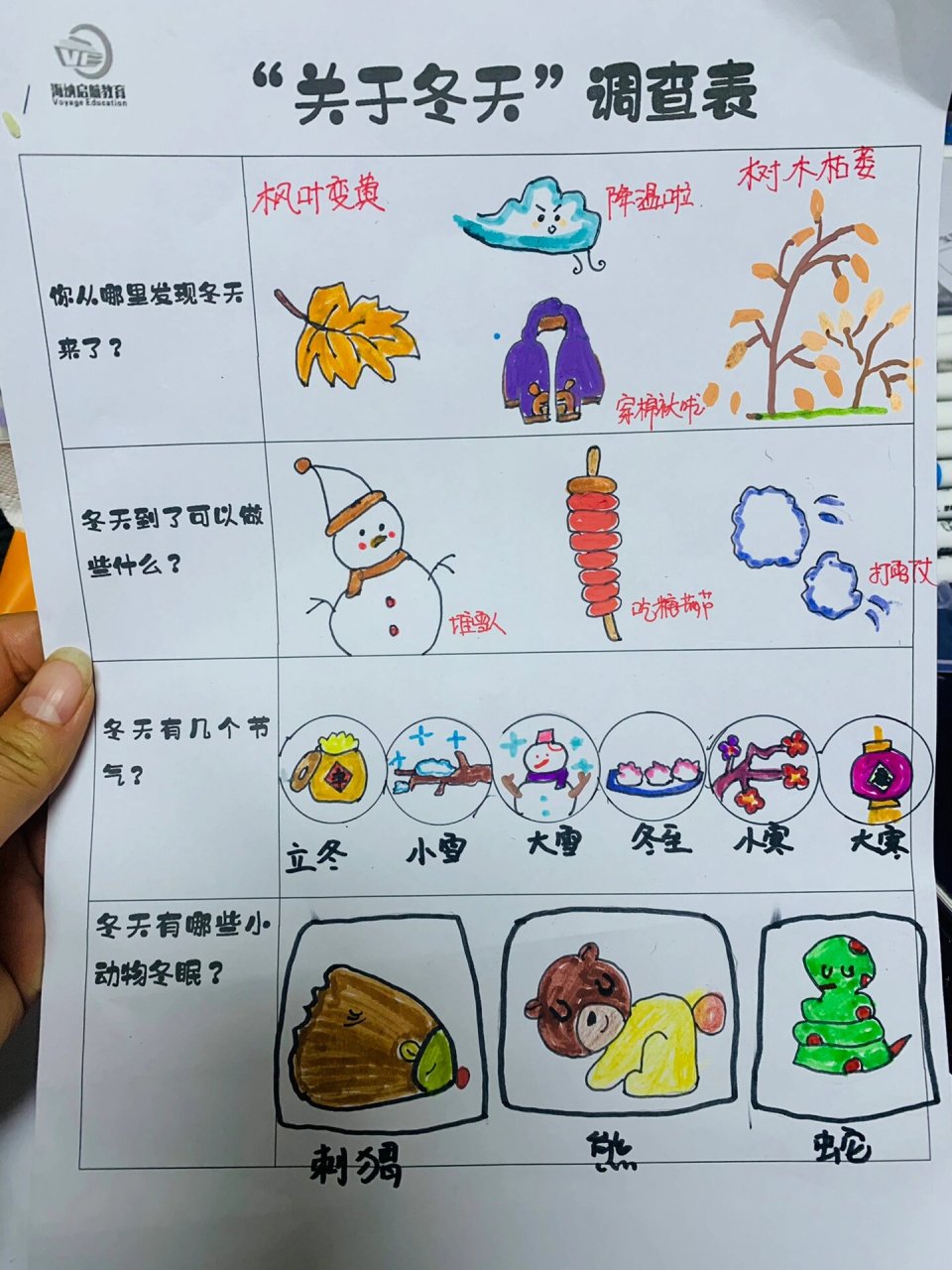 幼儿园调查表制作模板图片